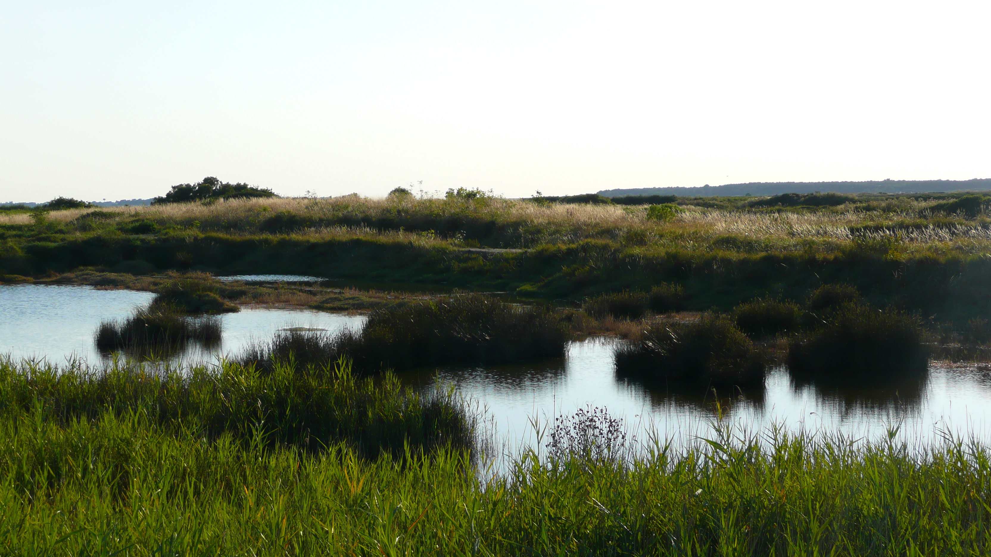 Picture France Guerande Les marais salants 2007-08 24 - Journey Les marais salants