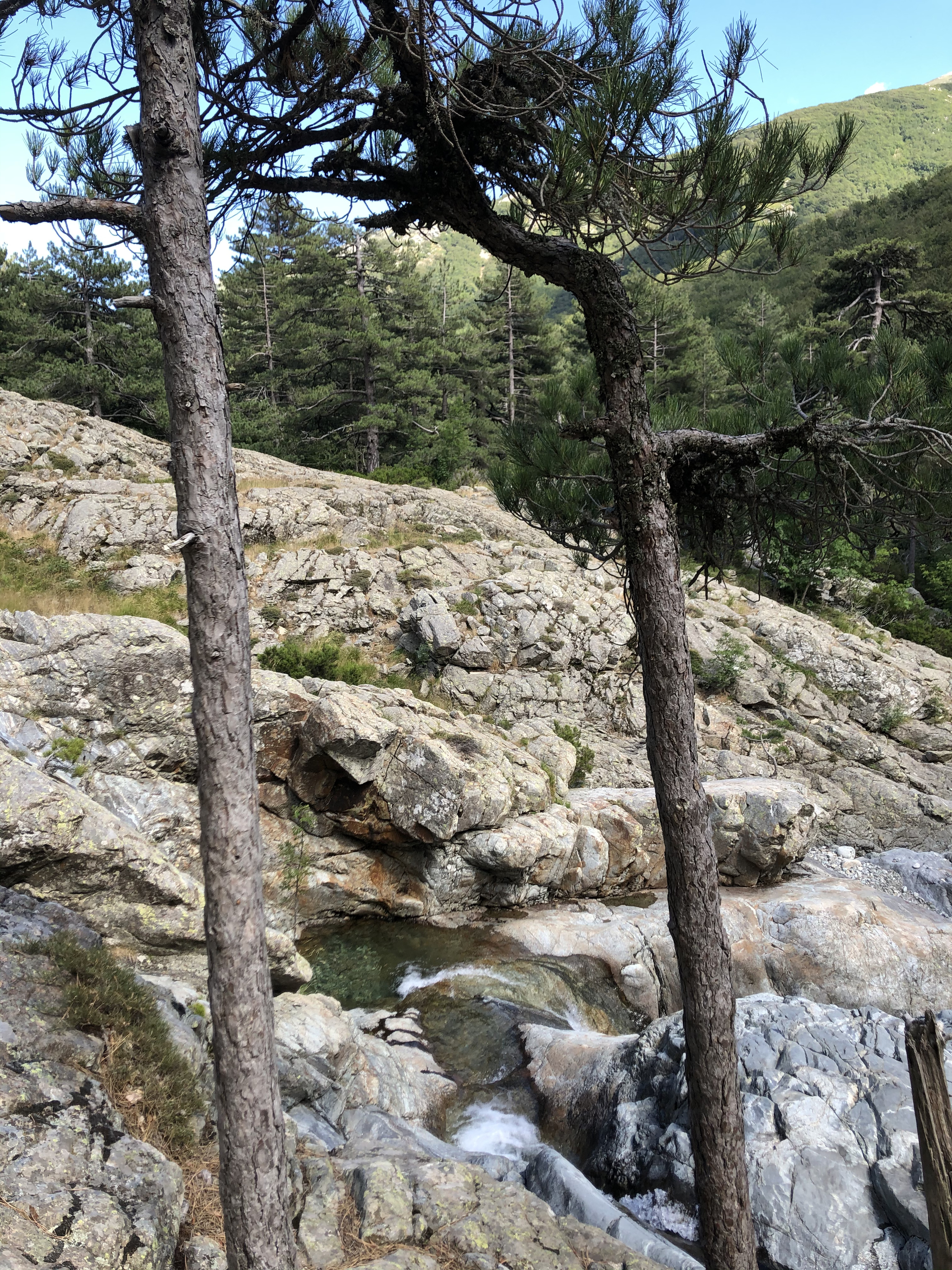 Picture France Corsica Cascade des Anglais 2020-07 4 - Tours Cascade des Anglais