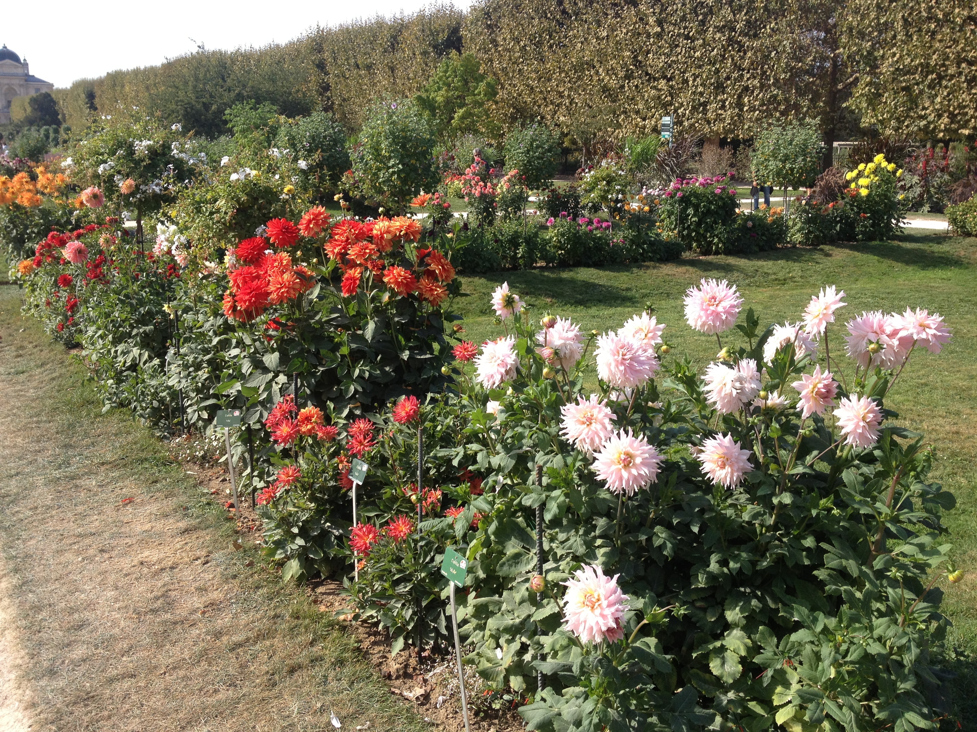 Picture France Paris Jardin des Plantes 2014-09 4 - Discovery Jardin des Plantes