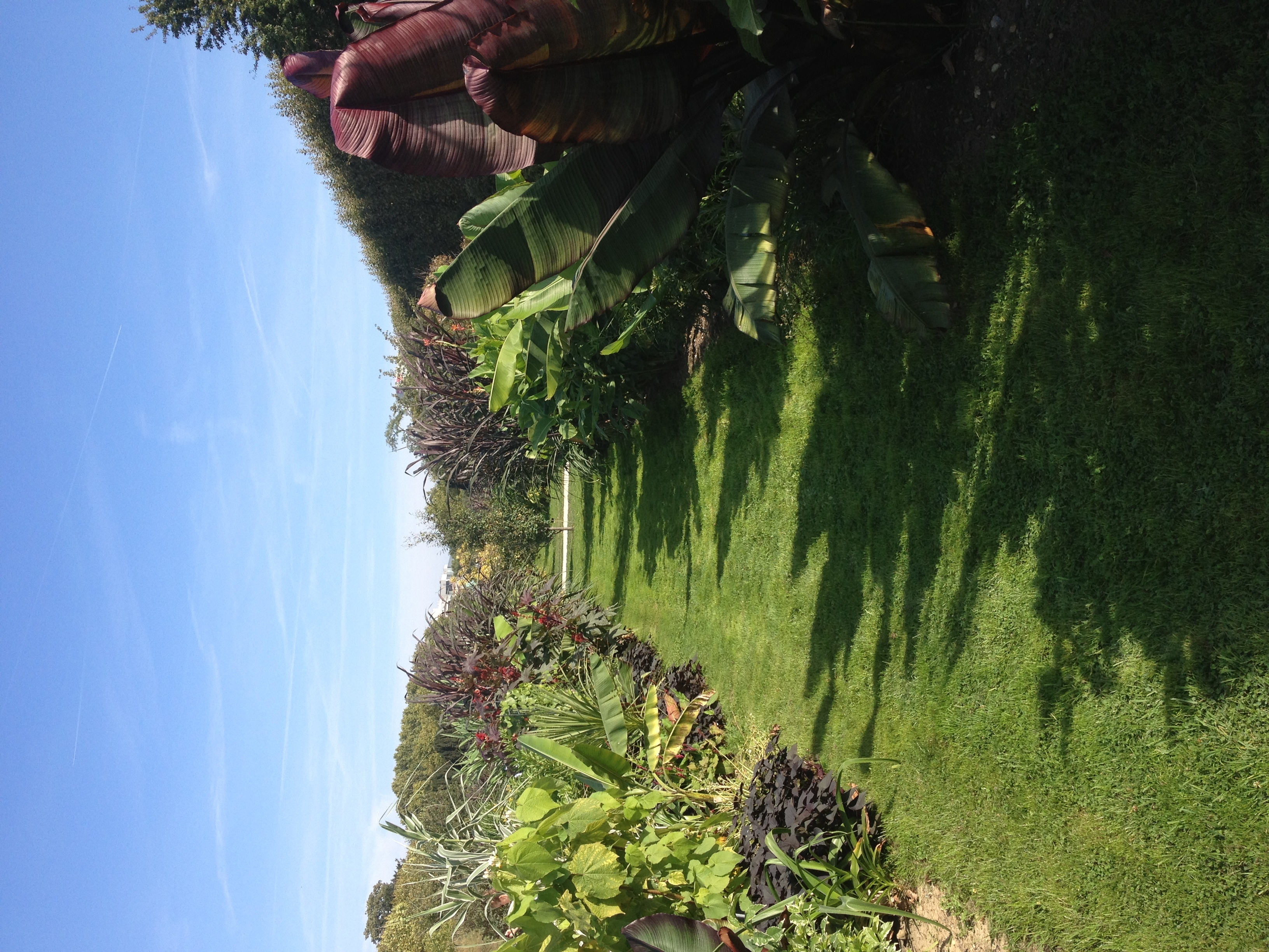 Picture France Paris Jardin des Plantes 2014-09 5 - Journey Jardin des Plantes