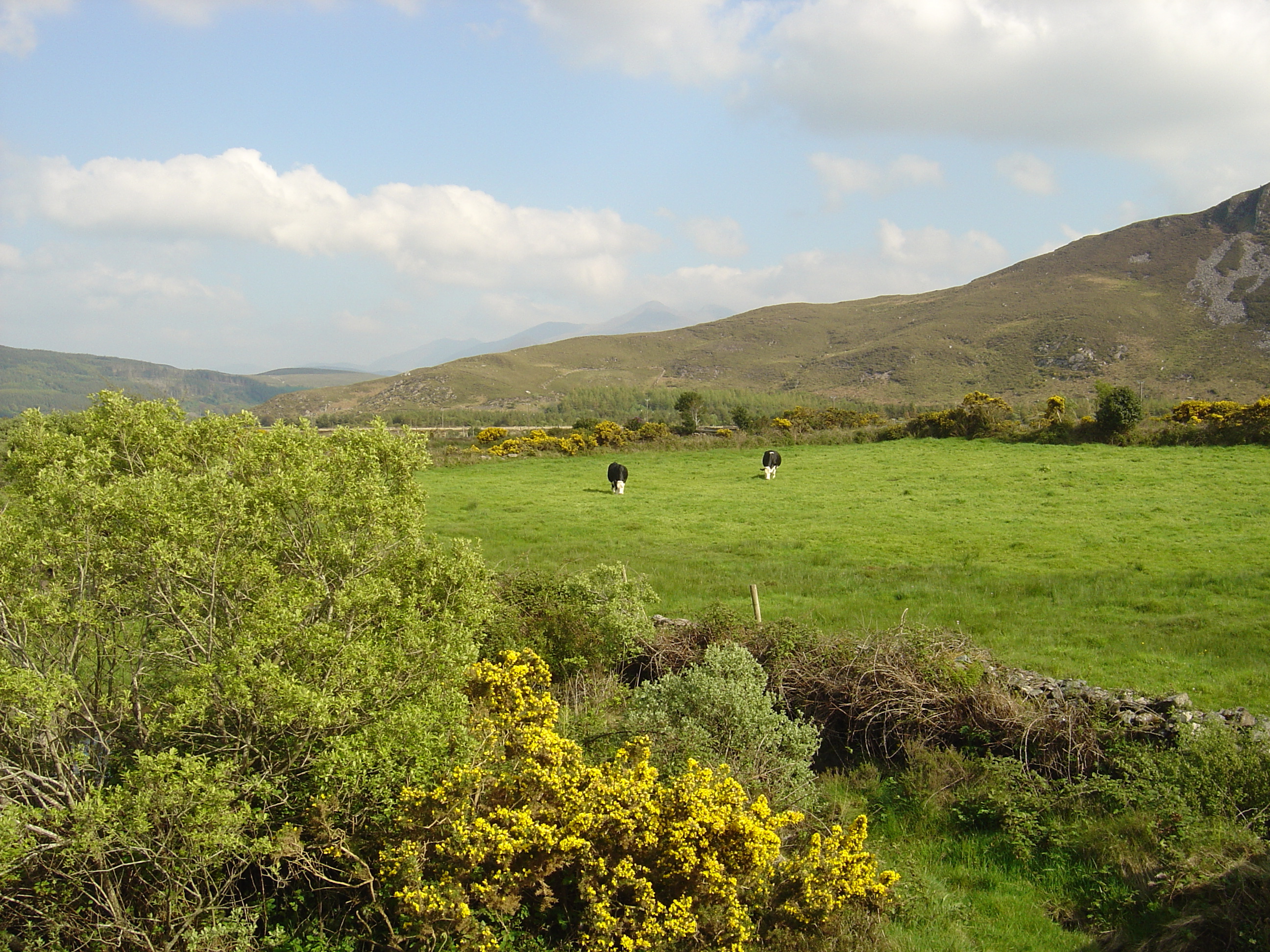 Picture Ireland Kerry Caragh Lake 2004-05 12 - Journey Caragh Lake