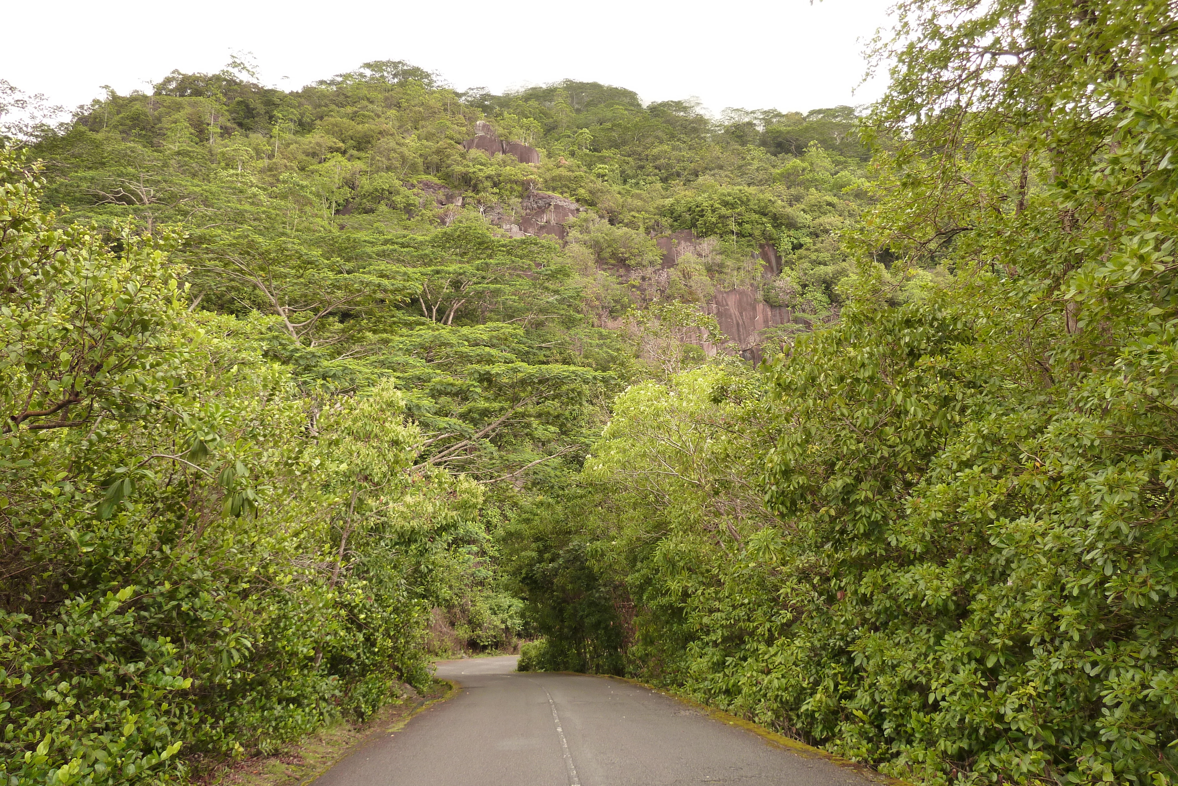 Picture Seychelles Mahe 2011-10 104 - Tour Mahe