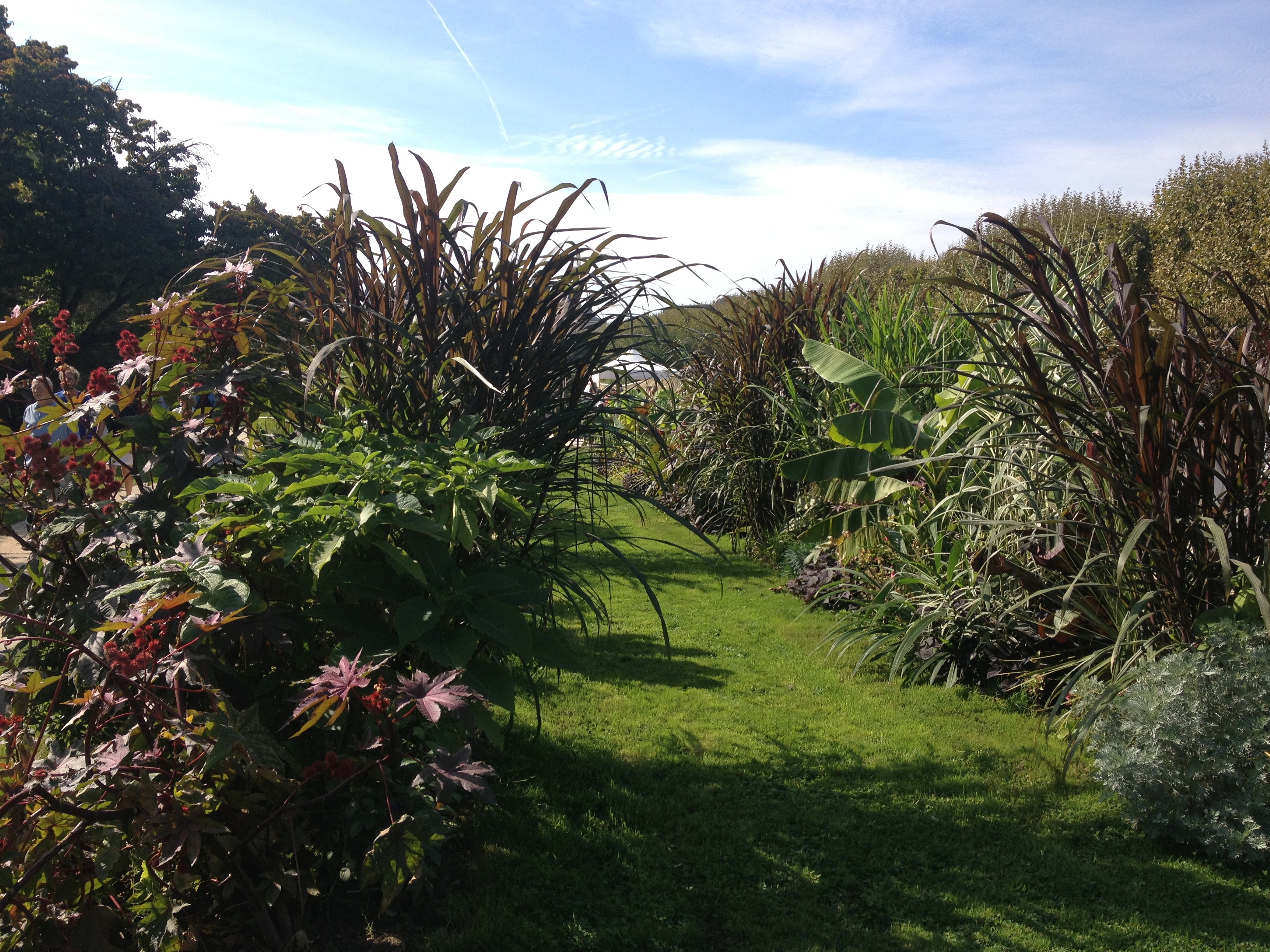 Picture France Paris Jardin des Plantes 2014-09 23 - Recreation Jardin des Plantes