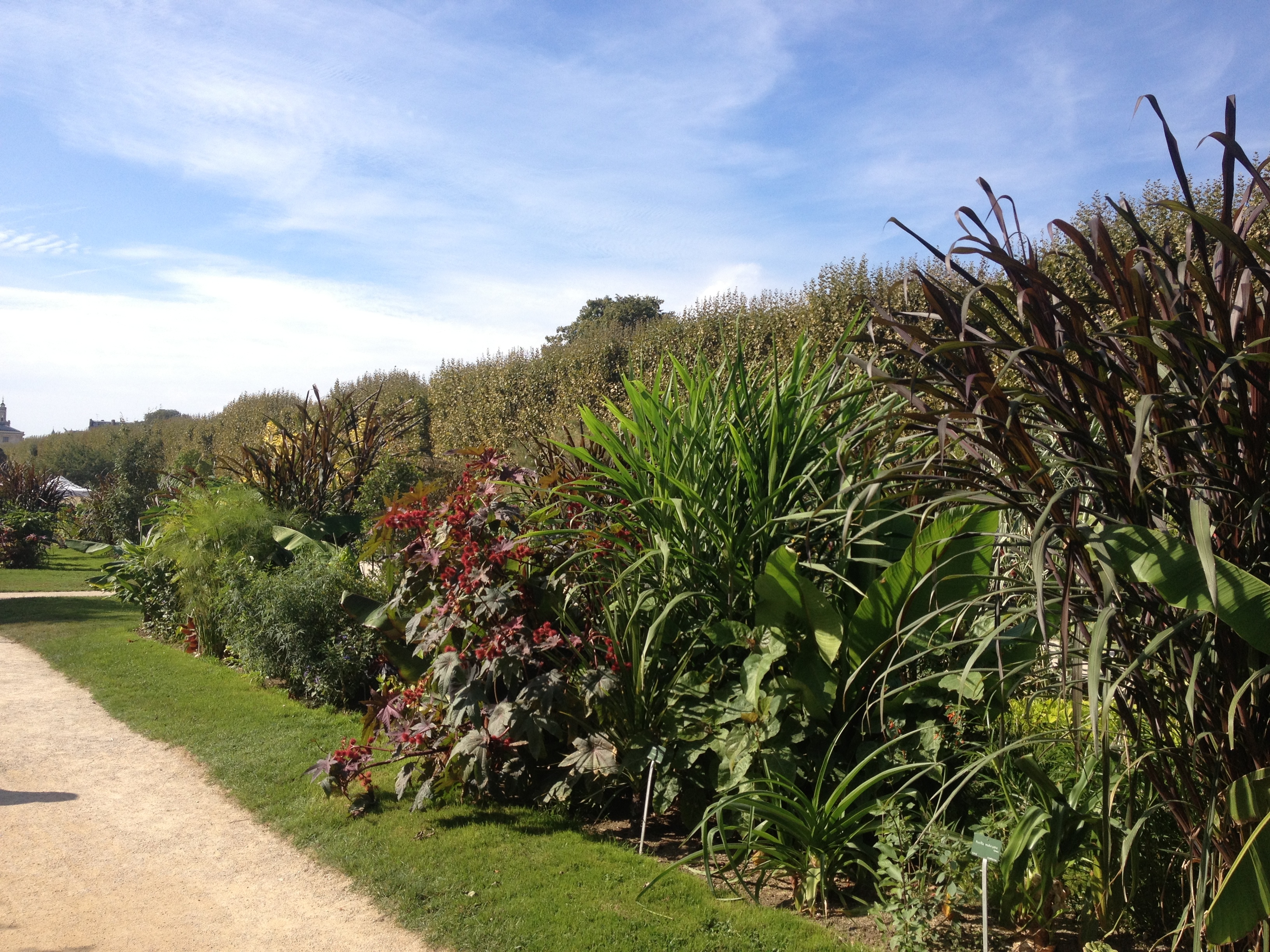 Picture France Paris Jardin des Plantes 2014-09 24 - Tours Jardin des Plantes