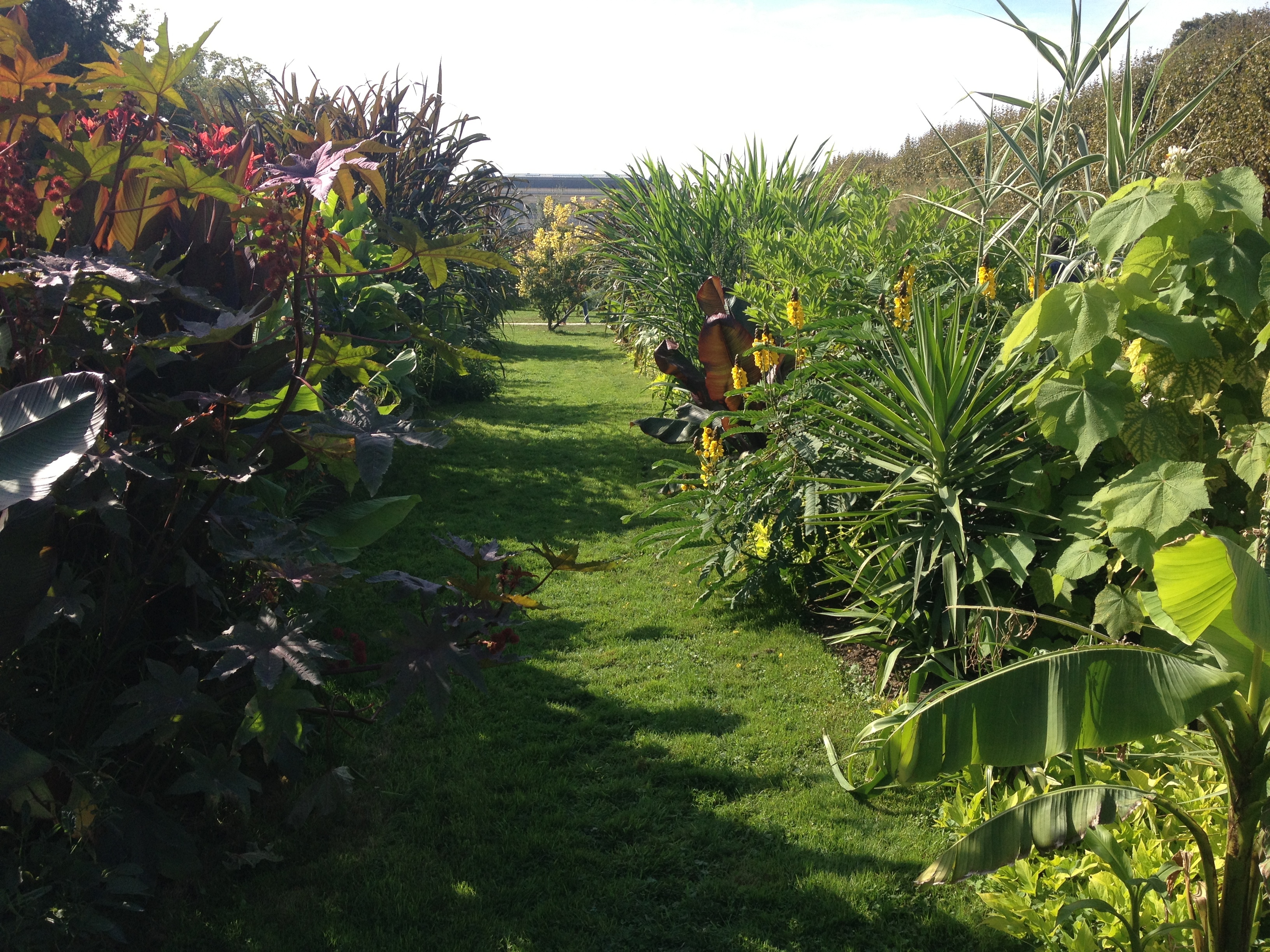 Picture France Paris Jardin des Plantes 2014-09 14 - Tours Jardin des Plantes