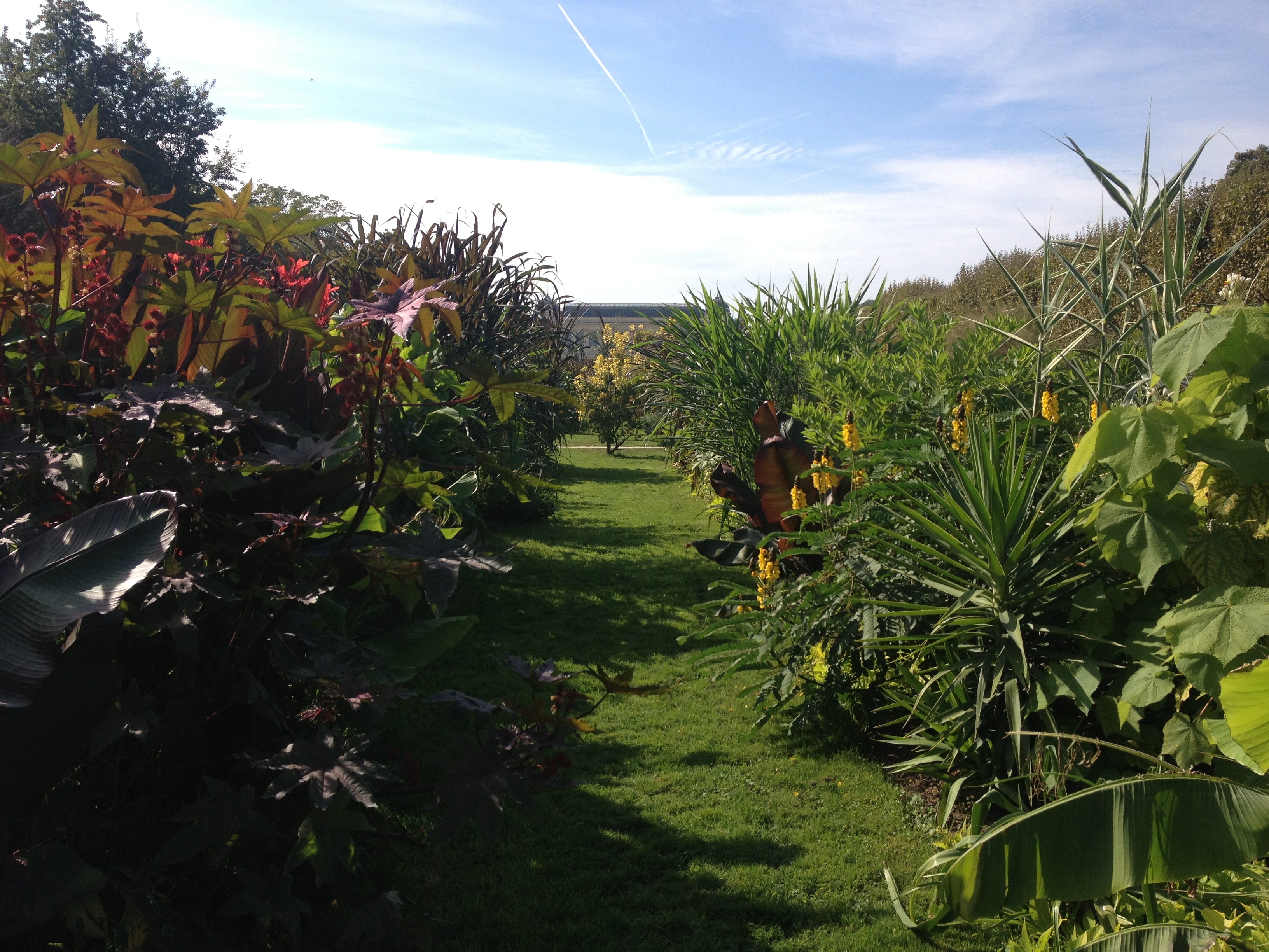 Picture France Paris Jardin des Plantes 2014-09 18 - History Jardin des Plantes