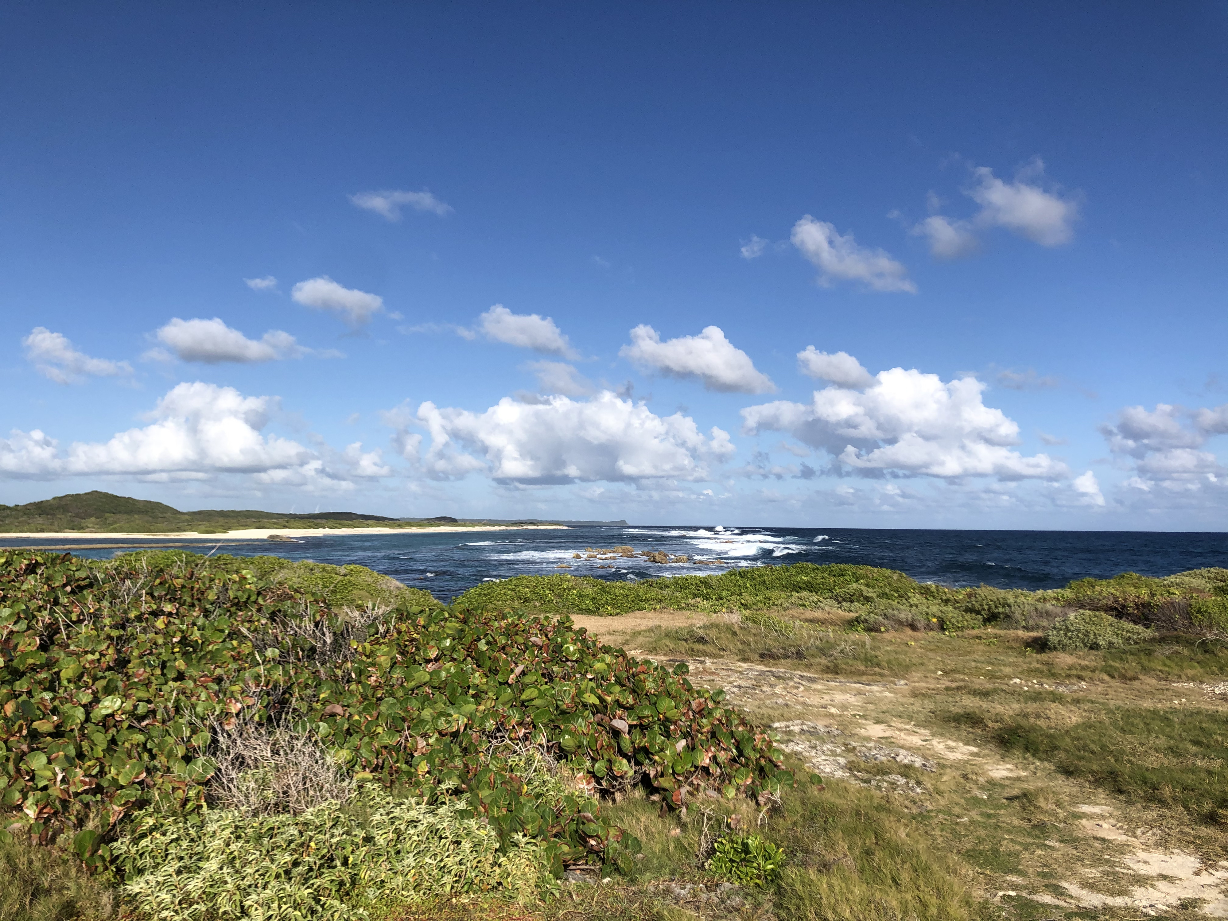 Picture Guadeloupe Castle Point 2021-02 157 - Tour Castle Point