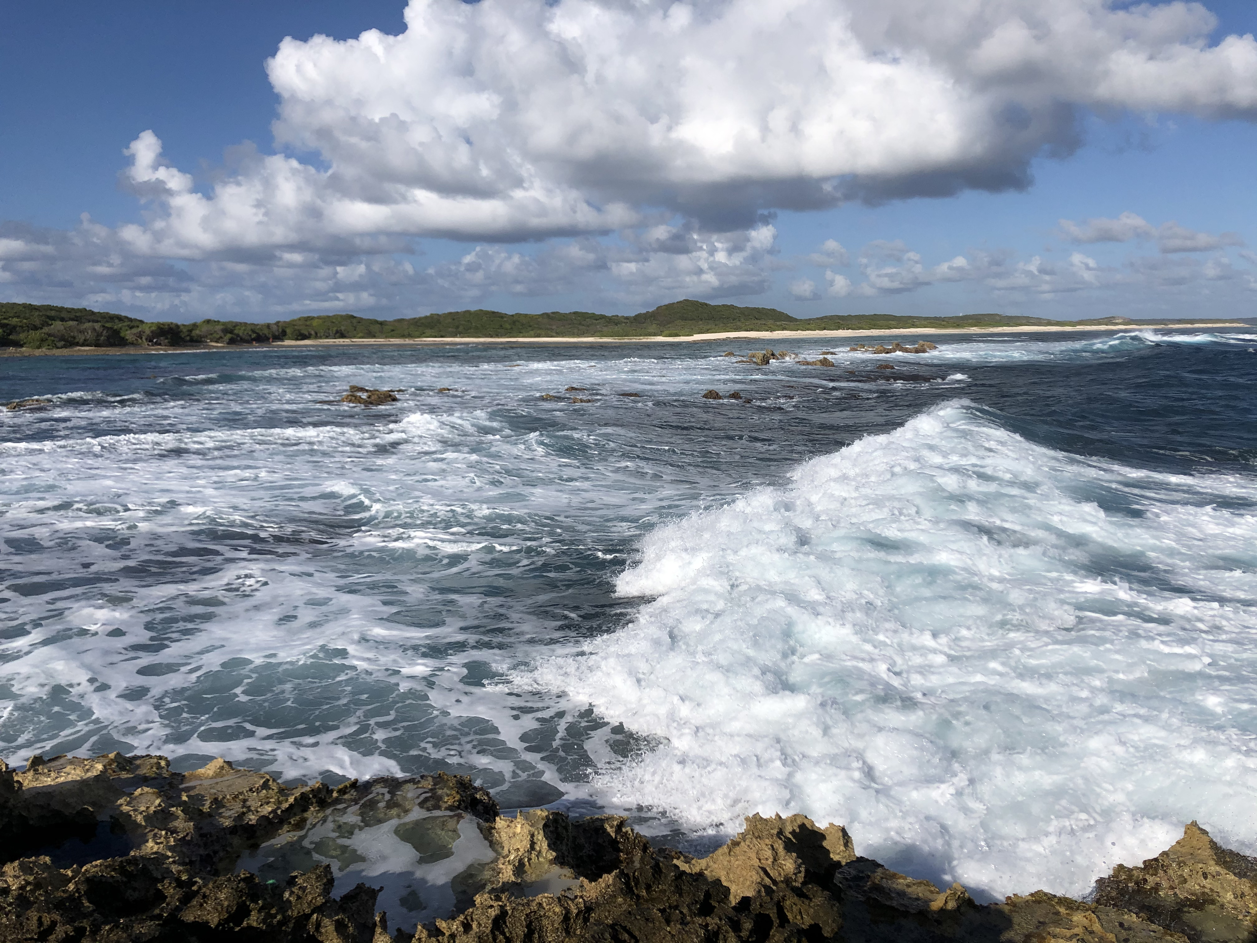 Picture Guadeloupe Castle Point 2021-02 158 - Tours Castle Point