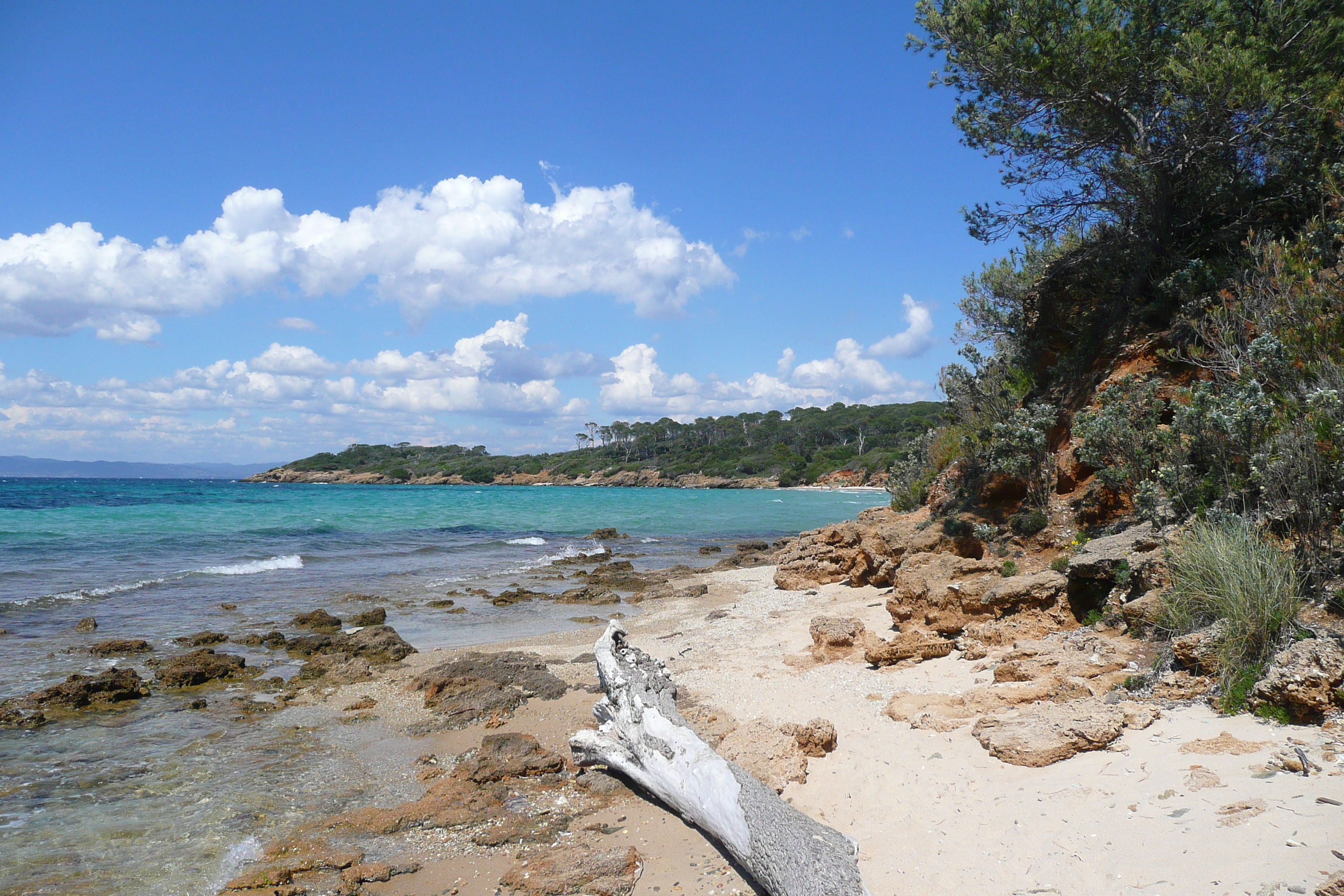 Picture France Porquerolles Island Courtade beach 2008-05 58 - Journey Courtade beach