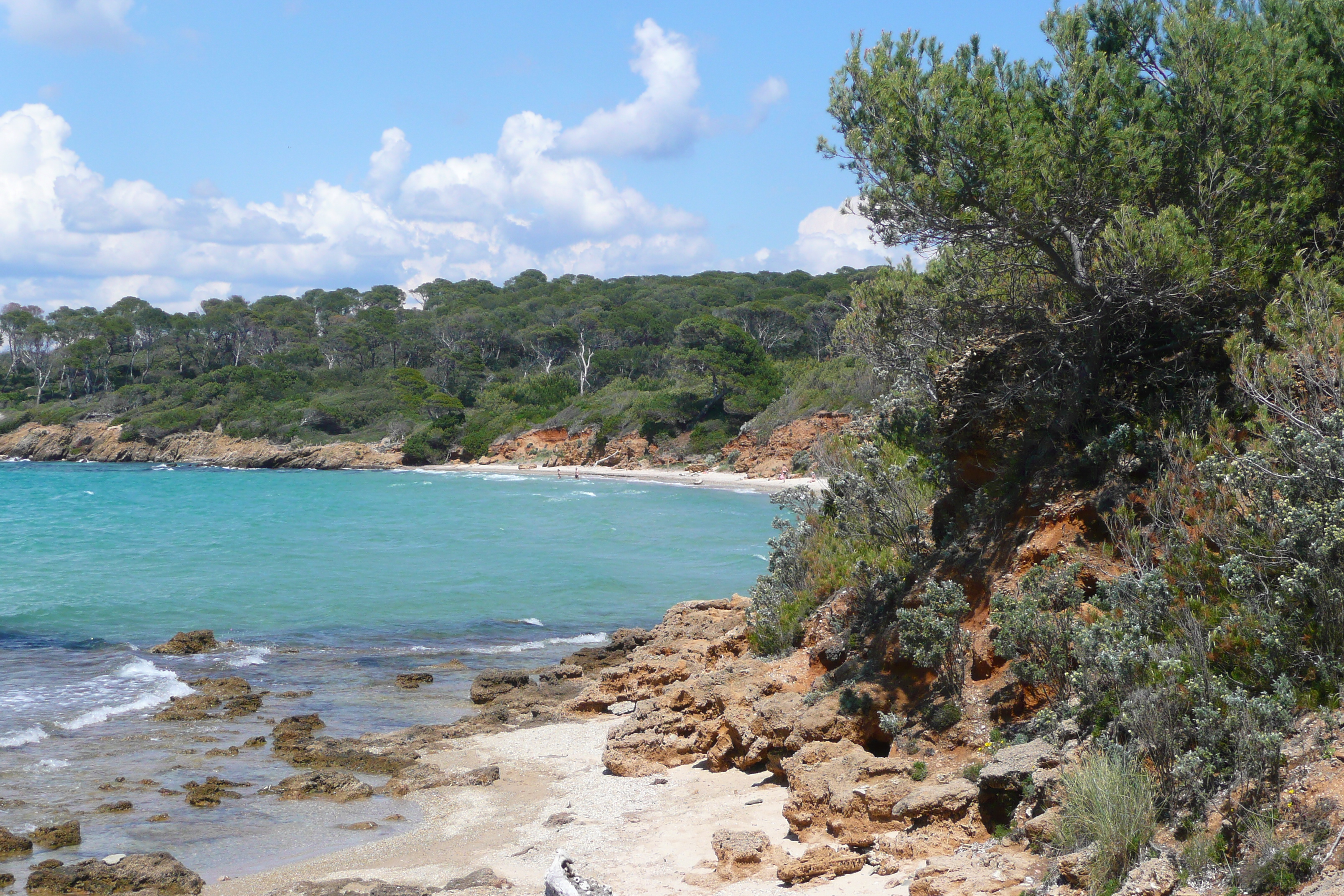 Picture France Porquerolles Island Courtade beach 2008-05 65 - Discovery Courtade beach