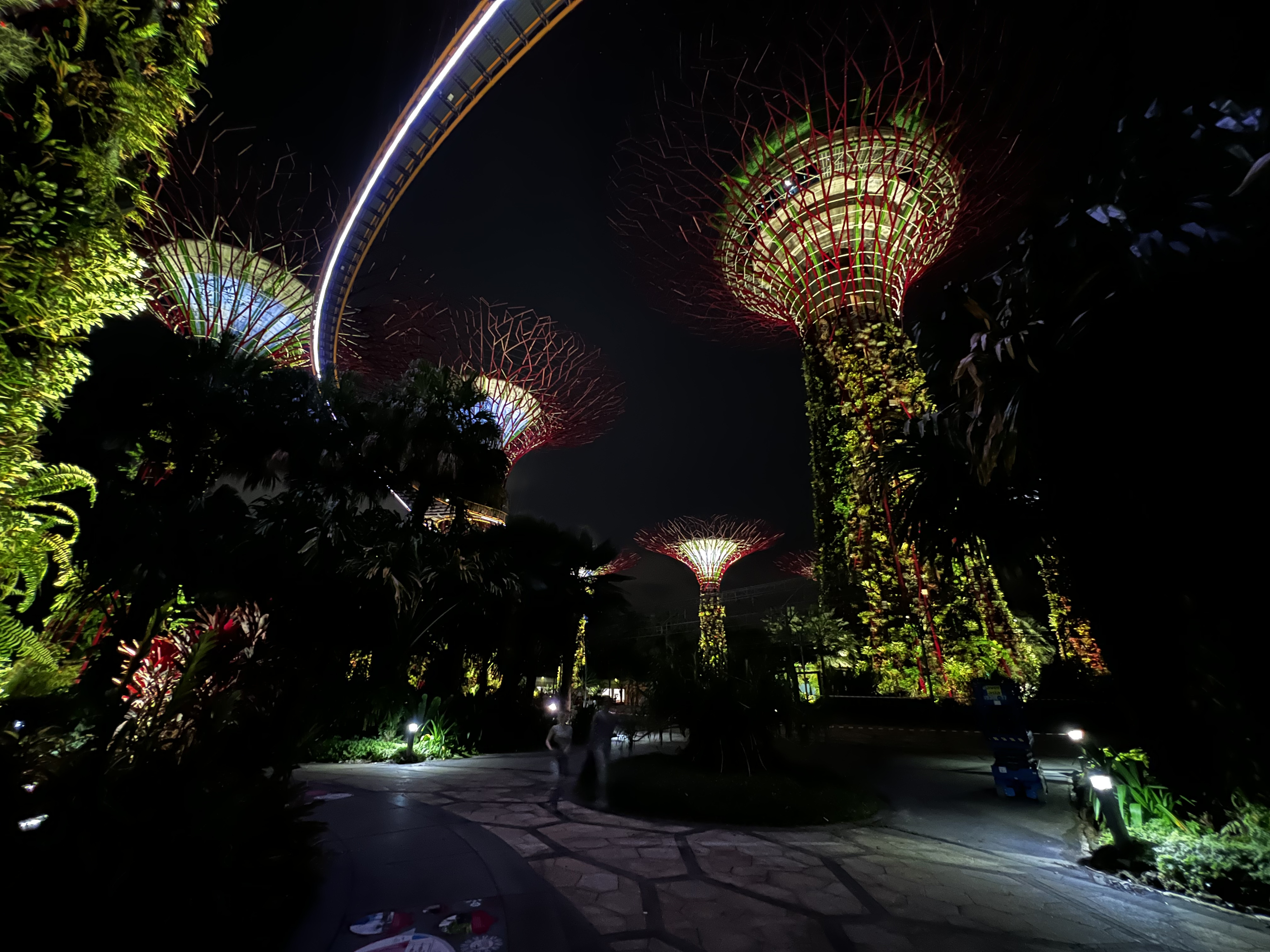 Picture Singapore Garden by the bay 2023-01 58 - Center Garden by the bay