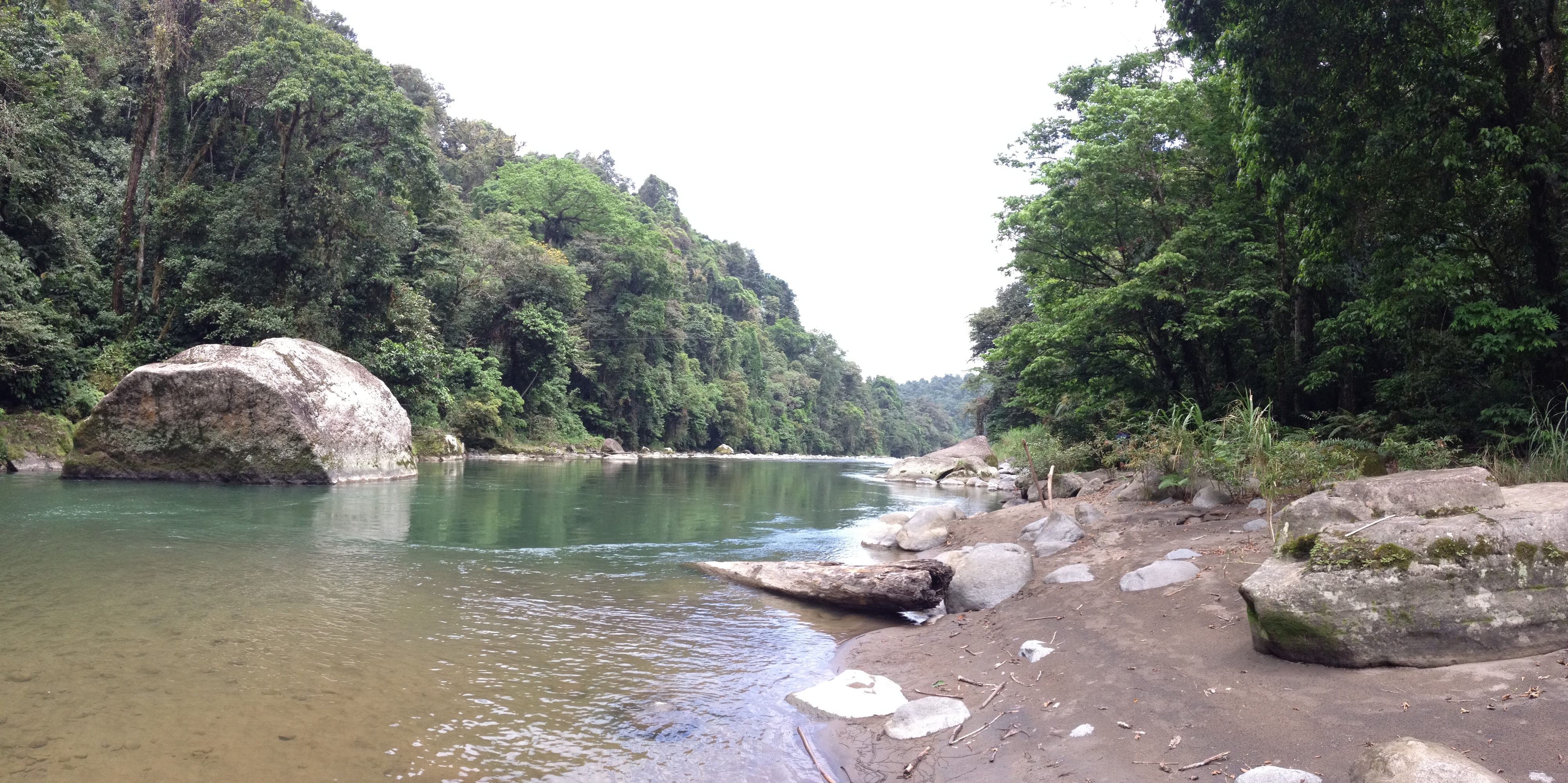 Picture Costa Rica Pacuare River 2015-03 267 - Tours Pacuare River