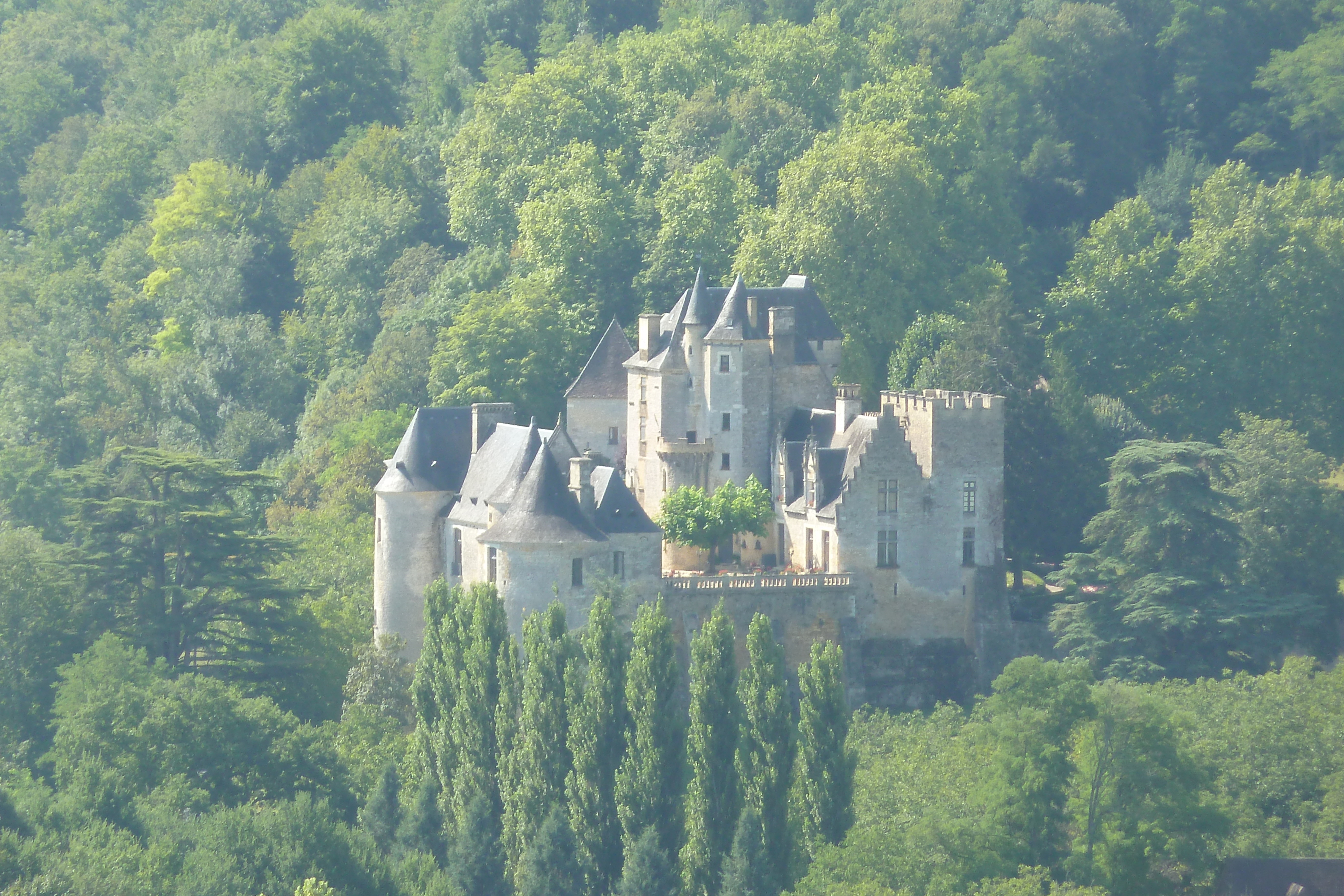 Picture France Dordogne River 2010-08 18 - Tours Dordogne River