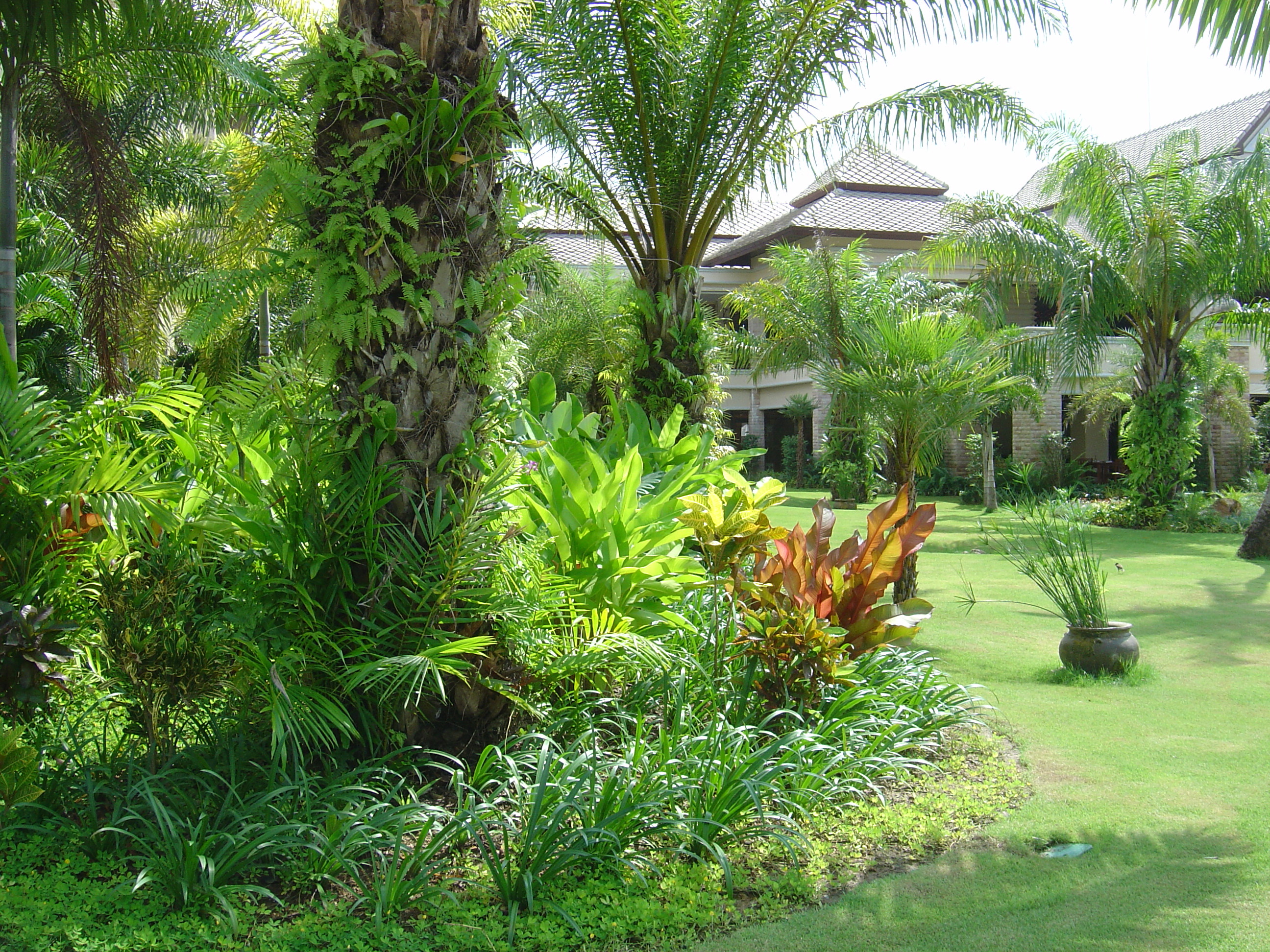 Picture Thailand Khao Lak Meridien Khao Lak Hotel 2005-12 149 - Center Meridien Khao Lak Hotel