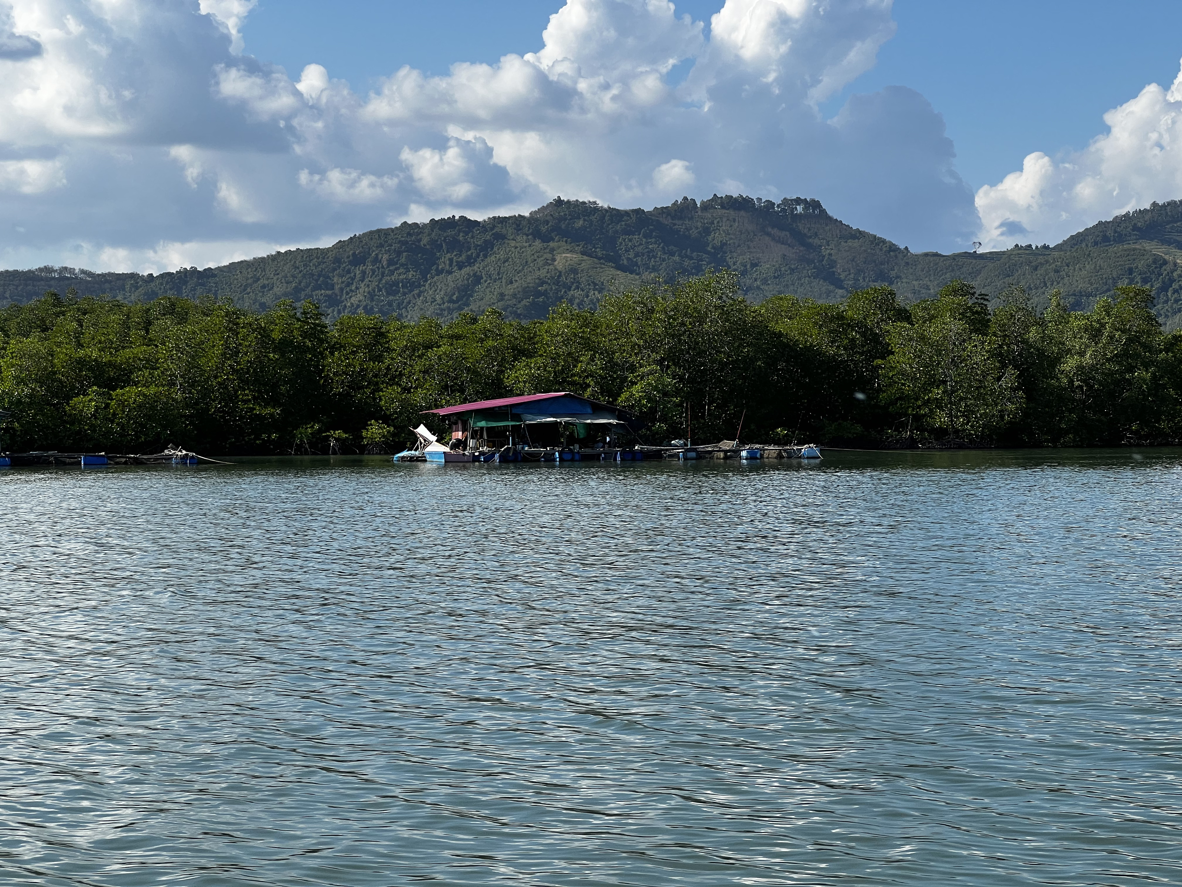 Picture Thailand Phang Nga Bay 2021-12 68 - Discovery Phang Nga Bay