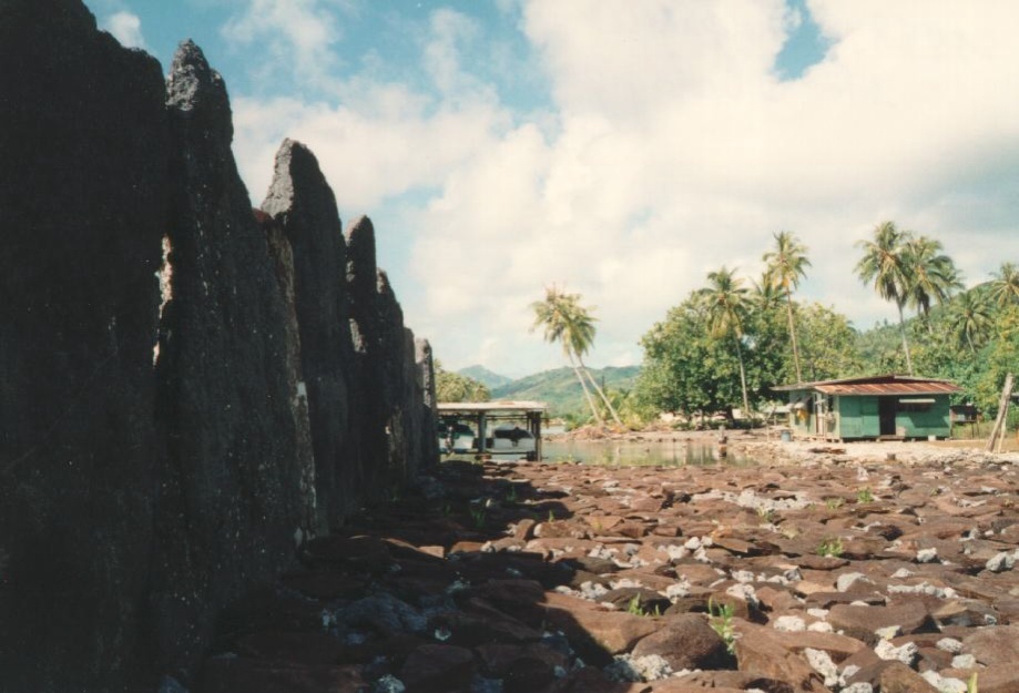 Picture Polynesia 1993-04 7 - Center Polynesia