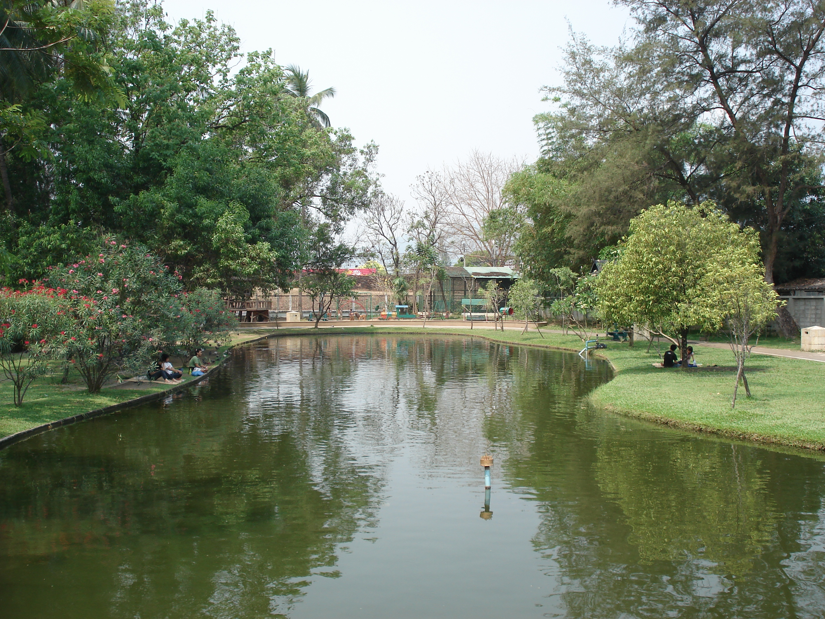 Picture Thailand Chiang Mai Inside Canal Buak Had Park 2006-04 20 - Tour Buak Had Park