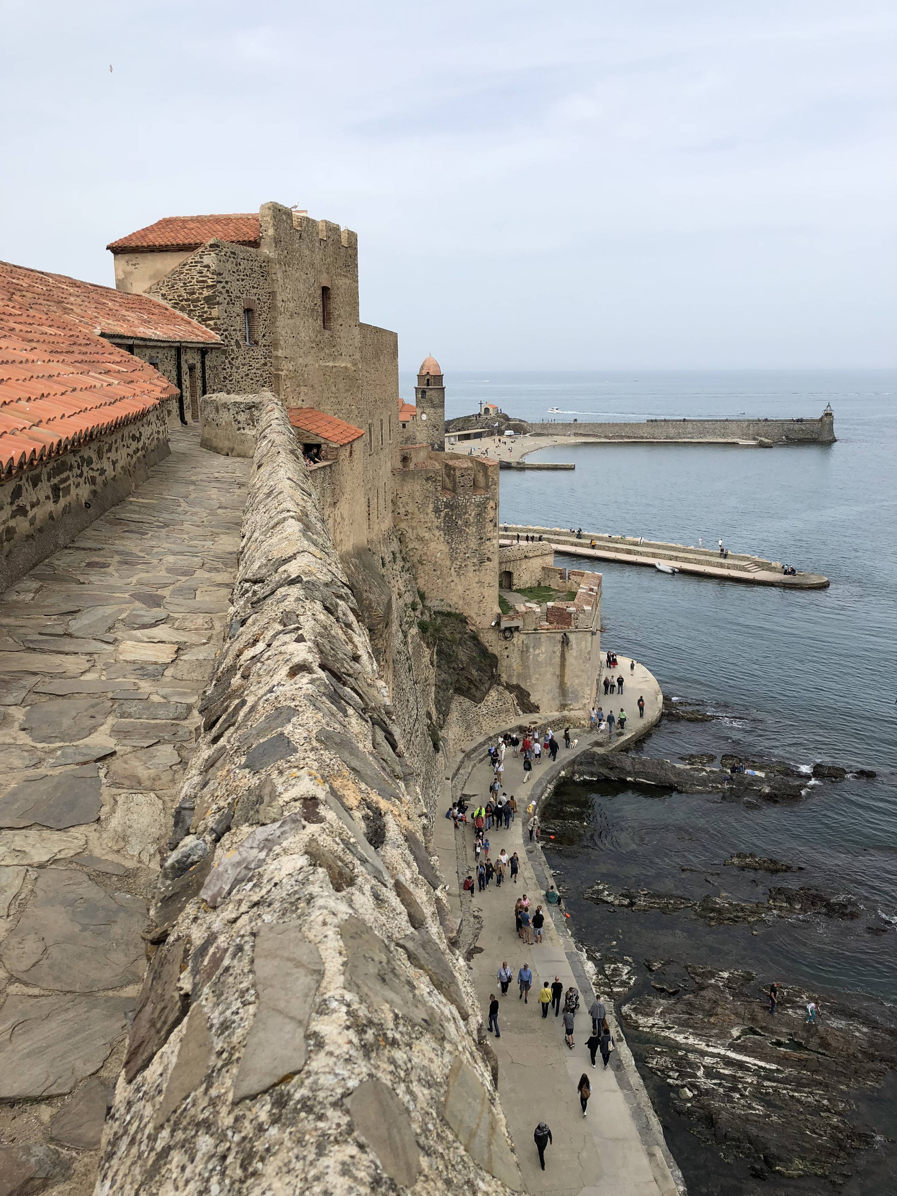 Picture France Collioure 2018-04 102 - Around Collioure