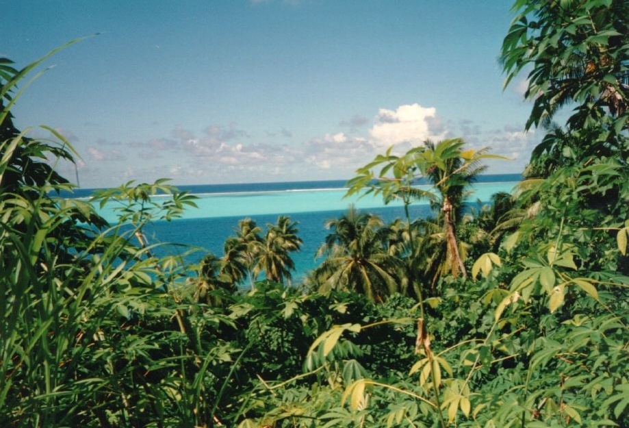 Picture Polynesia 1993-04 52 - Journey Polynesia