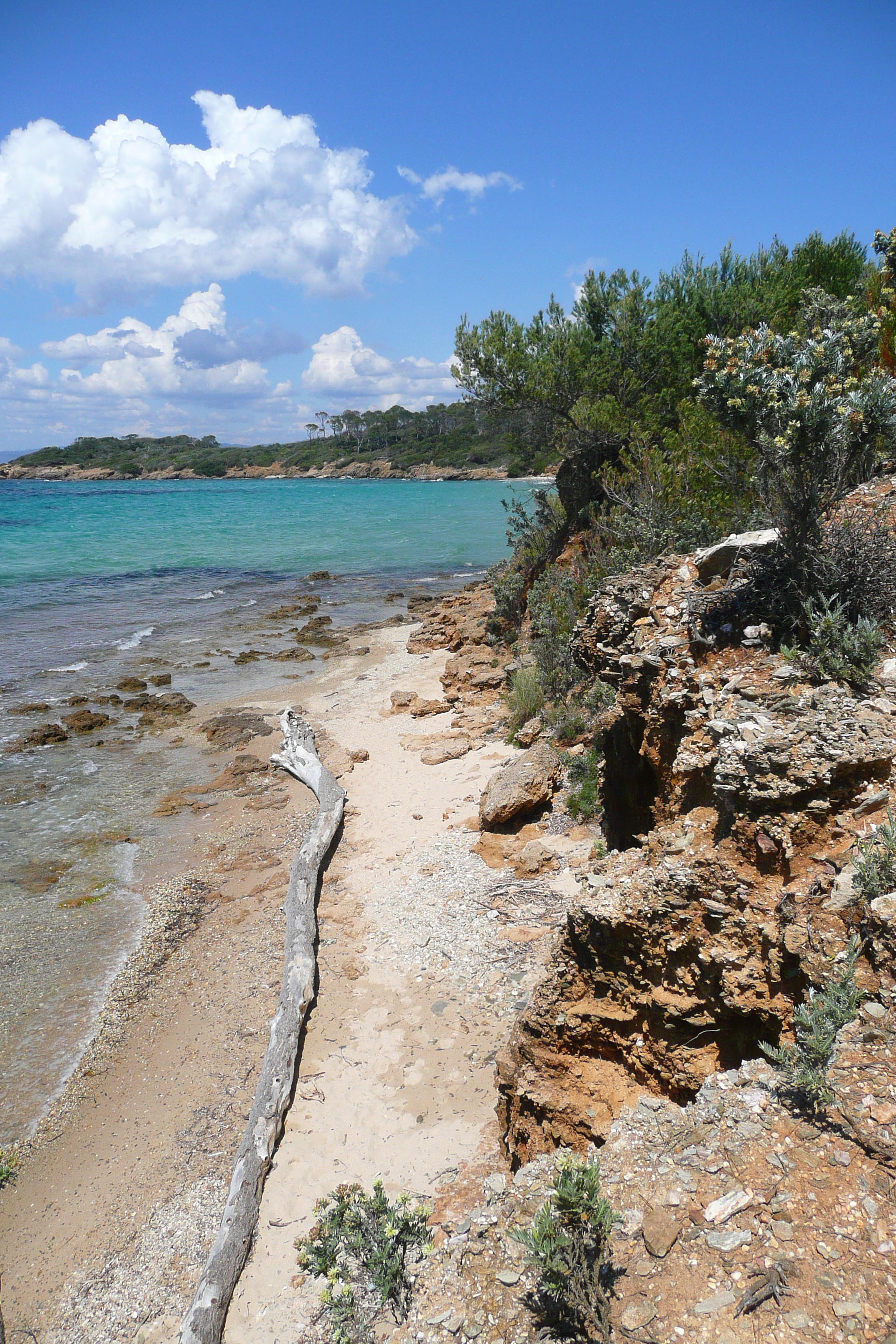 Picture France Porquerolles Island Courtade beach 2008-05 3 - Discovery Courtade beach