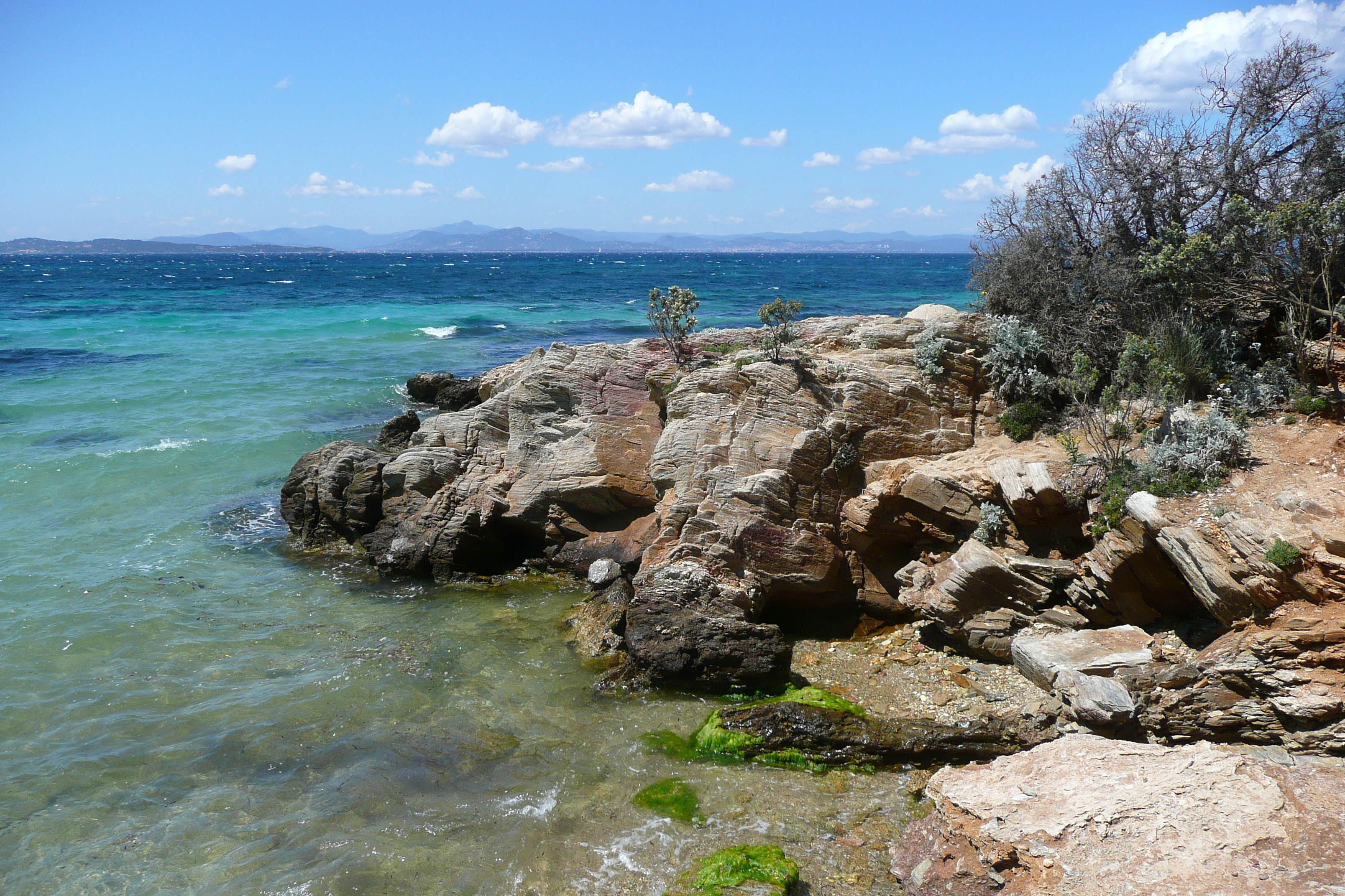 Picture France Porquerolles Island Courtade beach 2008-05 59 - Journey Courtade beach