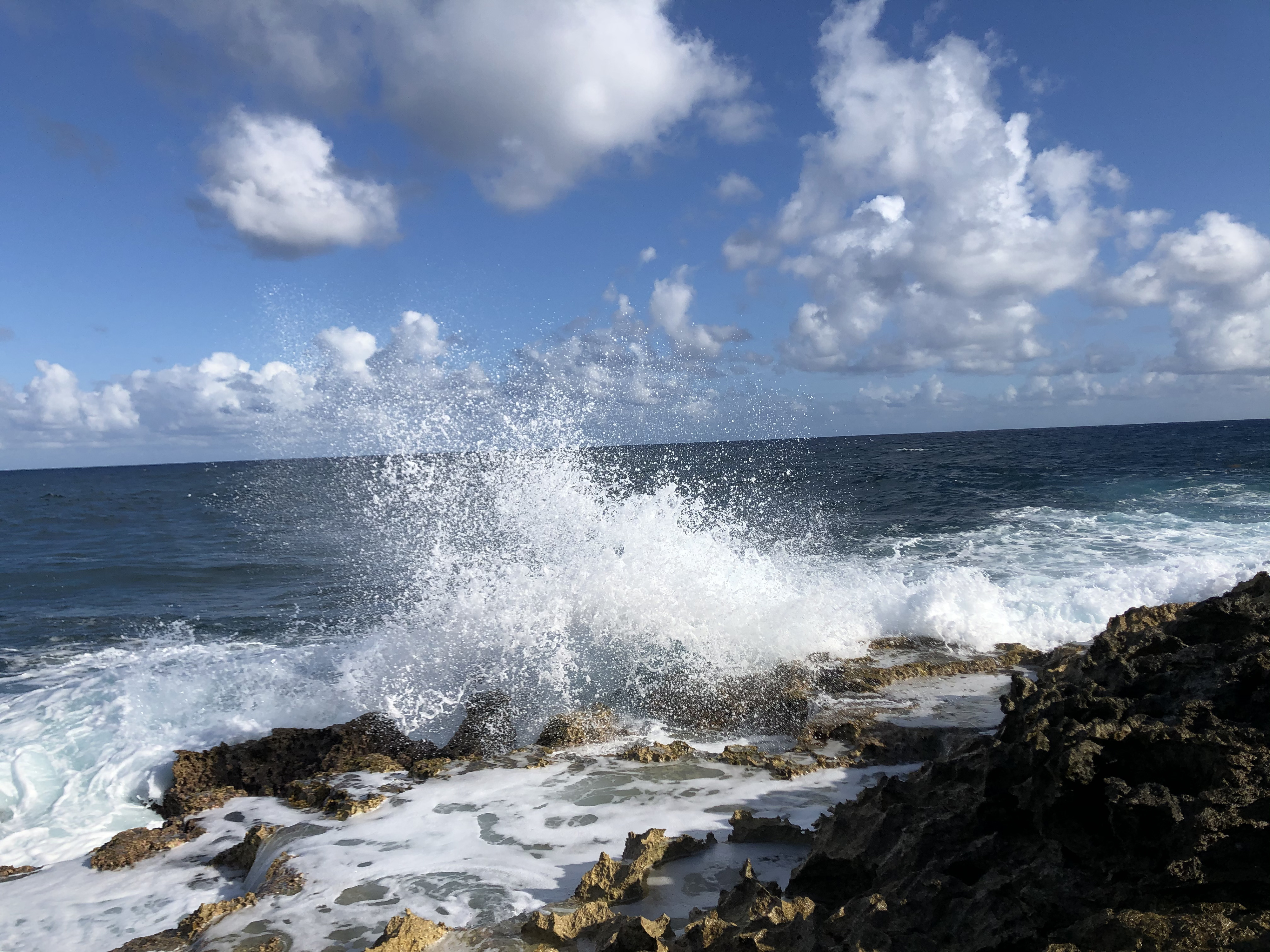 Picture Guadeloupe Castle Point 2021-02 98 - Recreation Castle Point