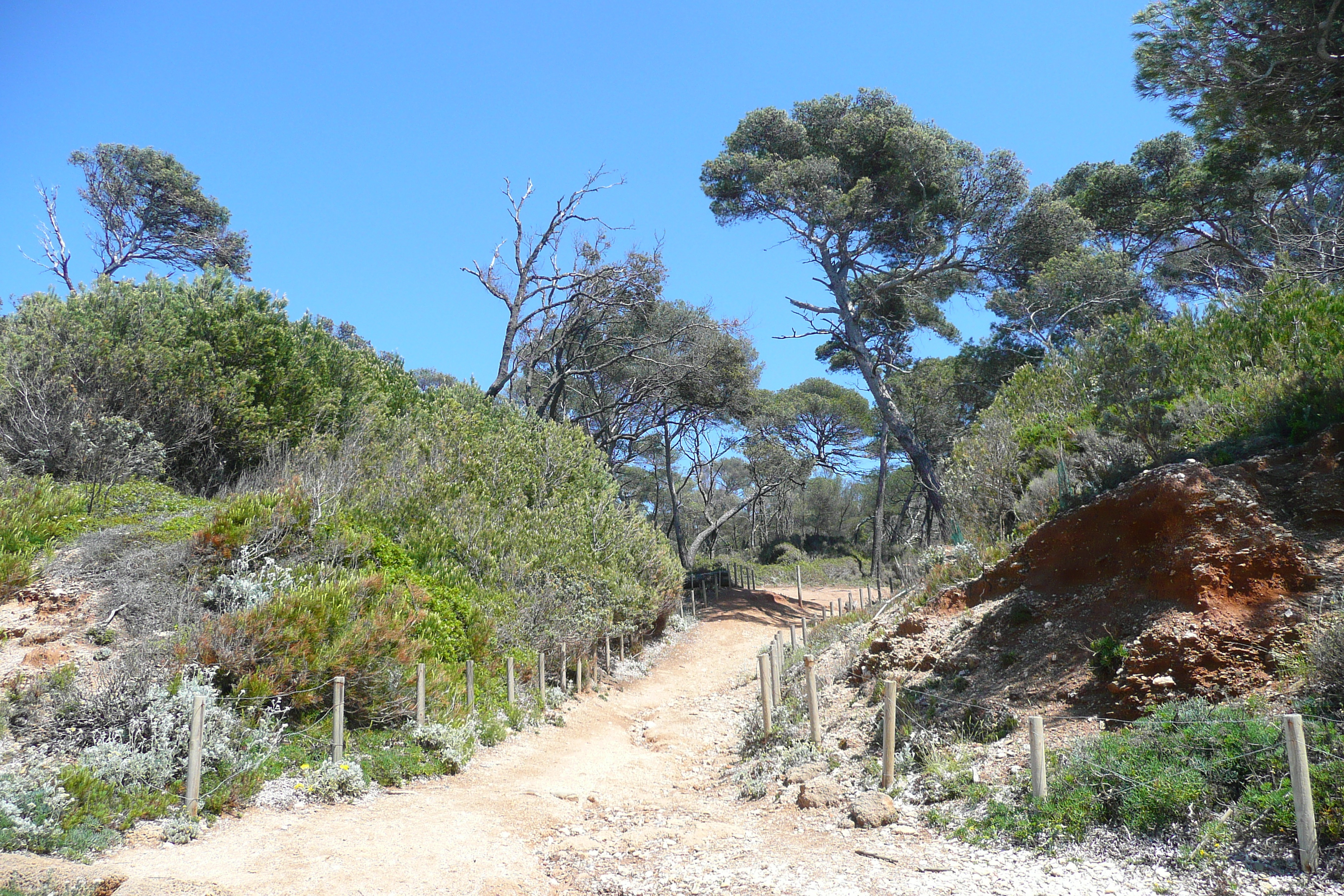 Picture France Porquerolles Island Courtade beach 2008-05 74 - History Courtade beach