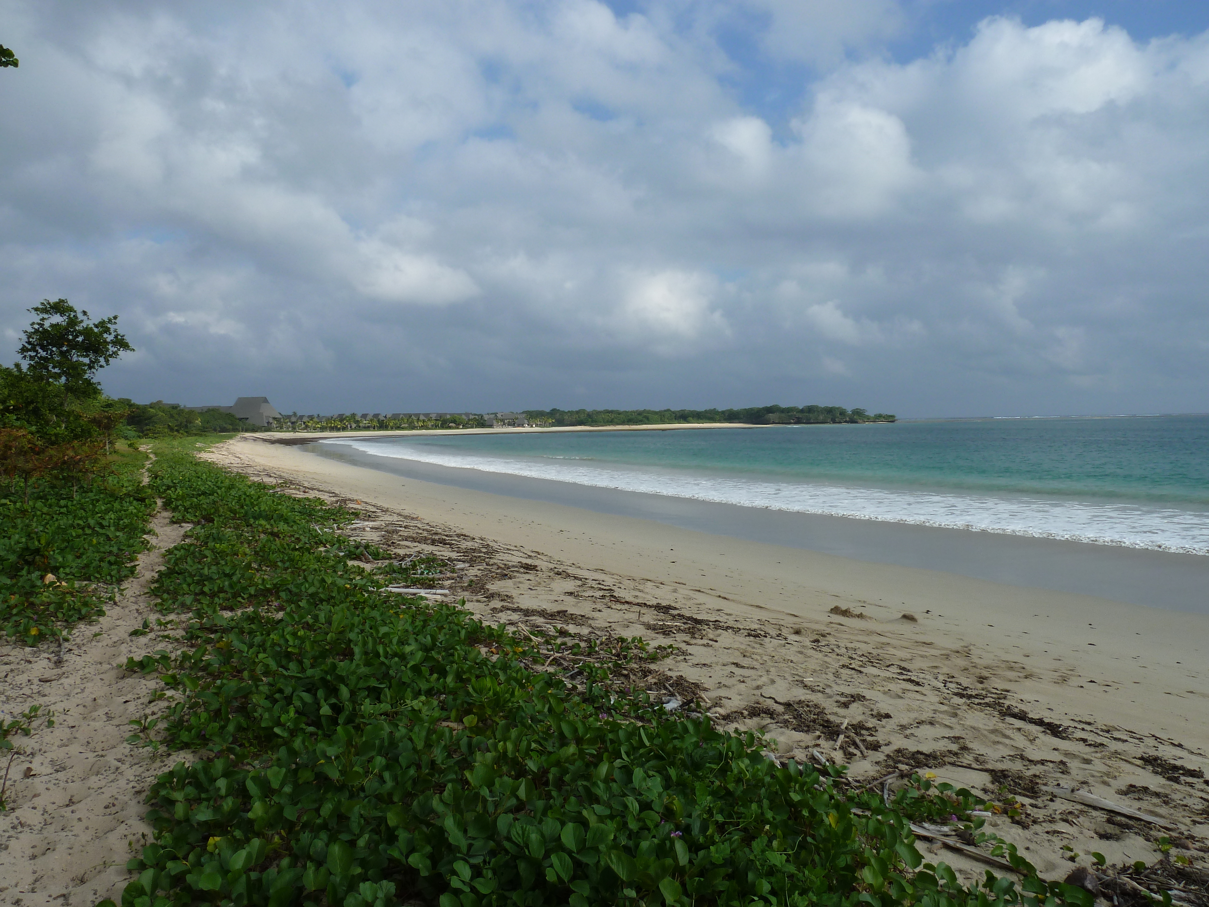 Picture Fiji Natadola beach 2010-05 19 - Around Natadola beach