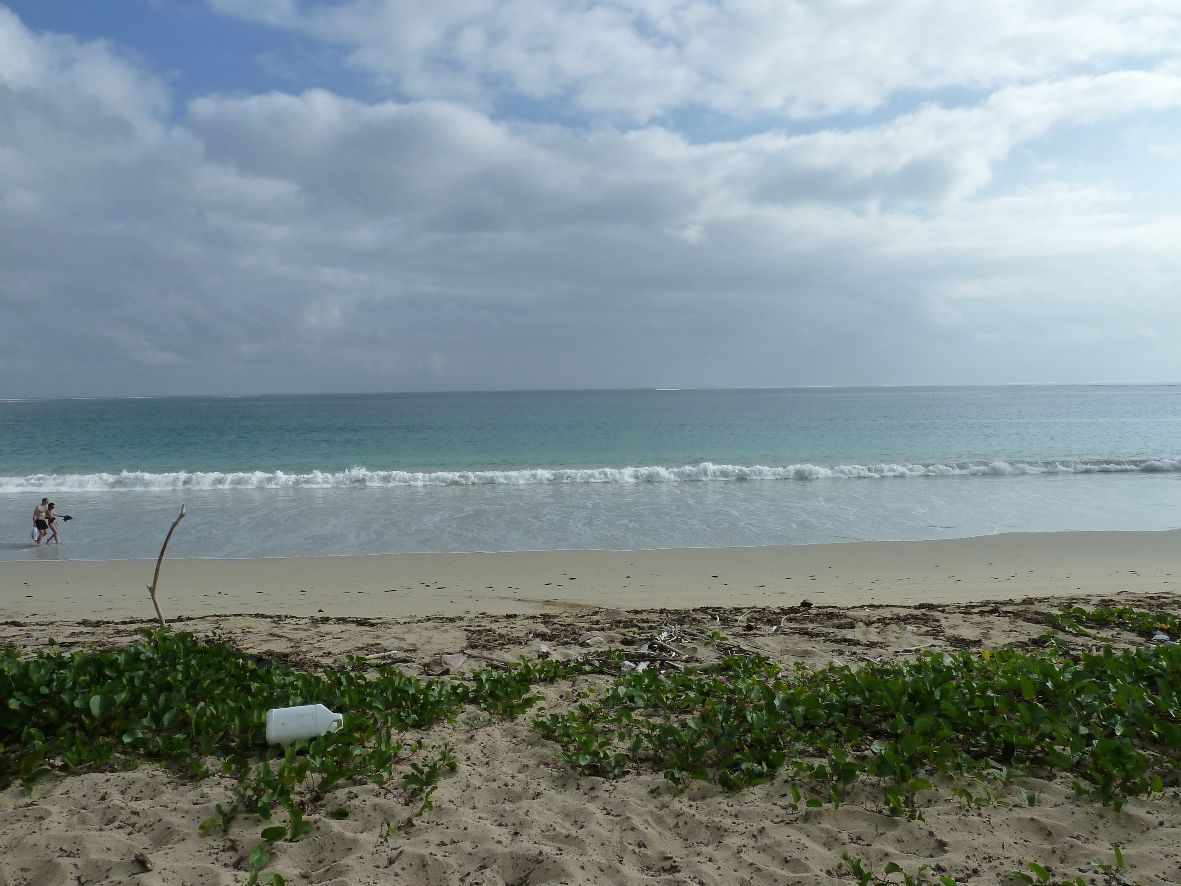 Picture Fiji Natadola beach 2010-05 51 - Tours Natadola beach