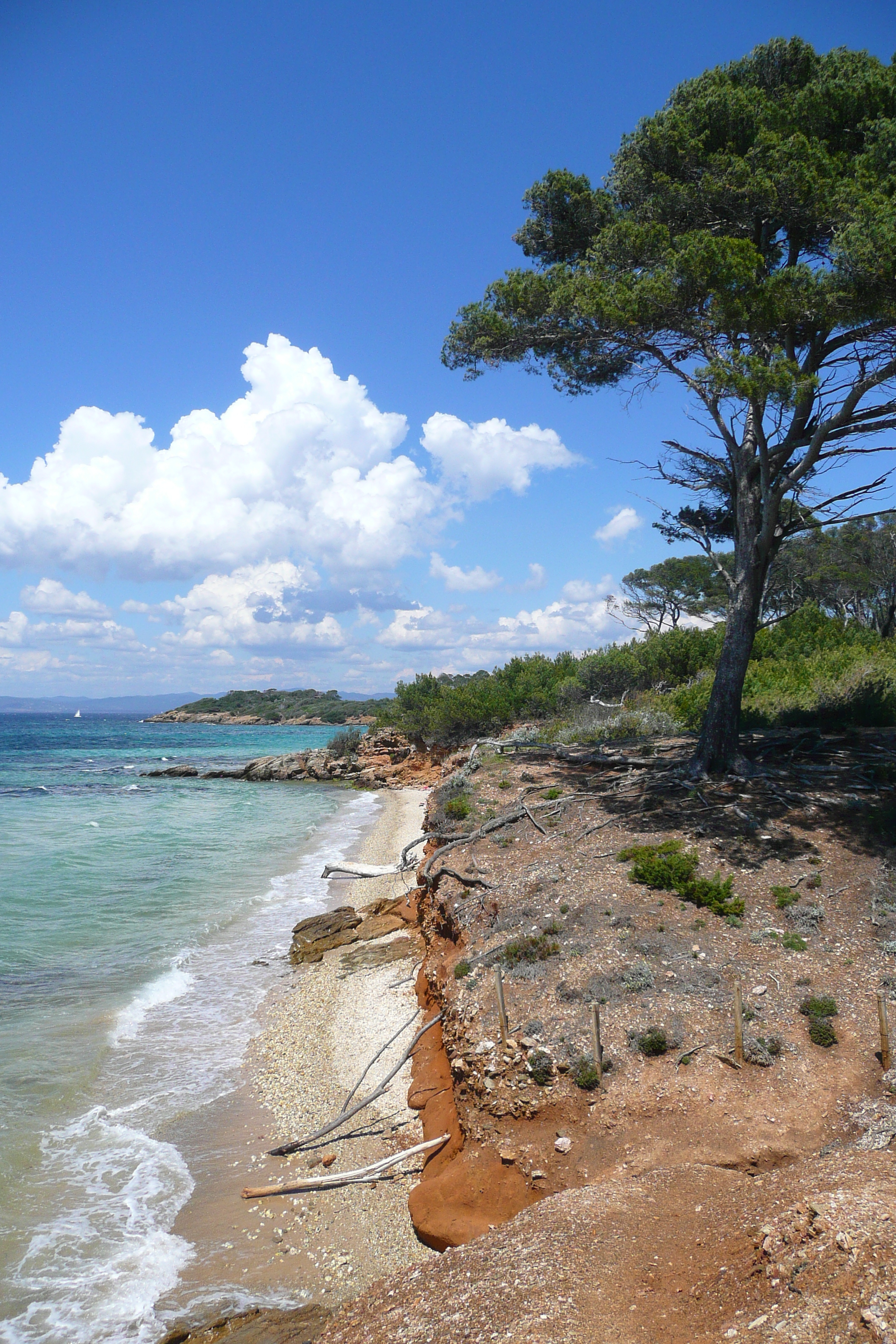 Picture France Porquerolles Island Courtade beach 2008-05 41 - Tour Courtade beach