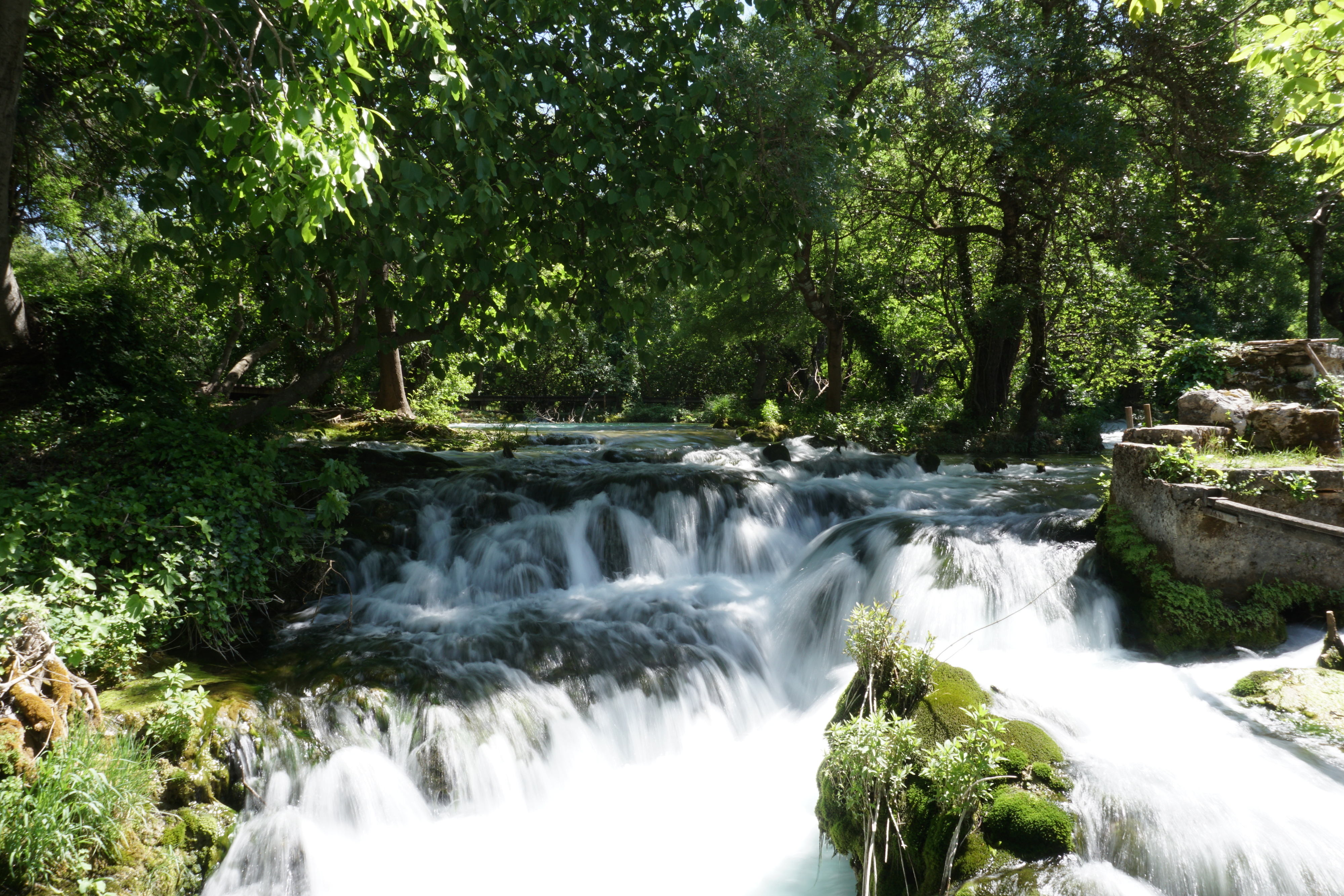 Picture Croatia Krka National Park 2016-04 142 - Around Krka National Park