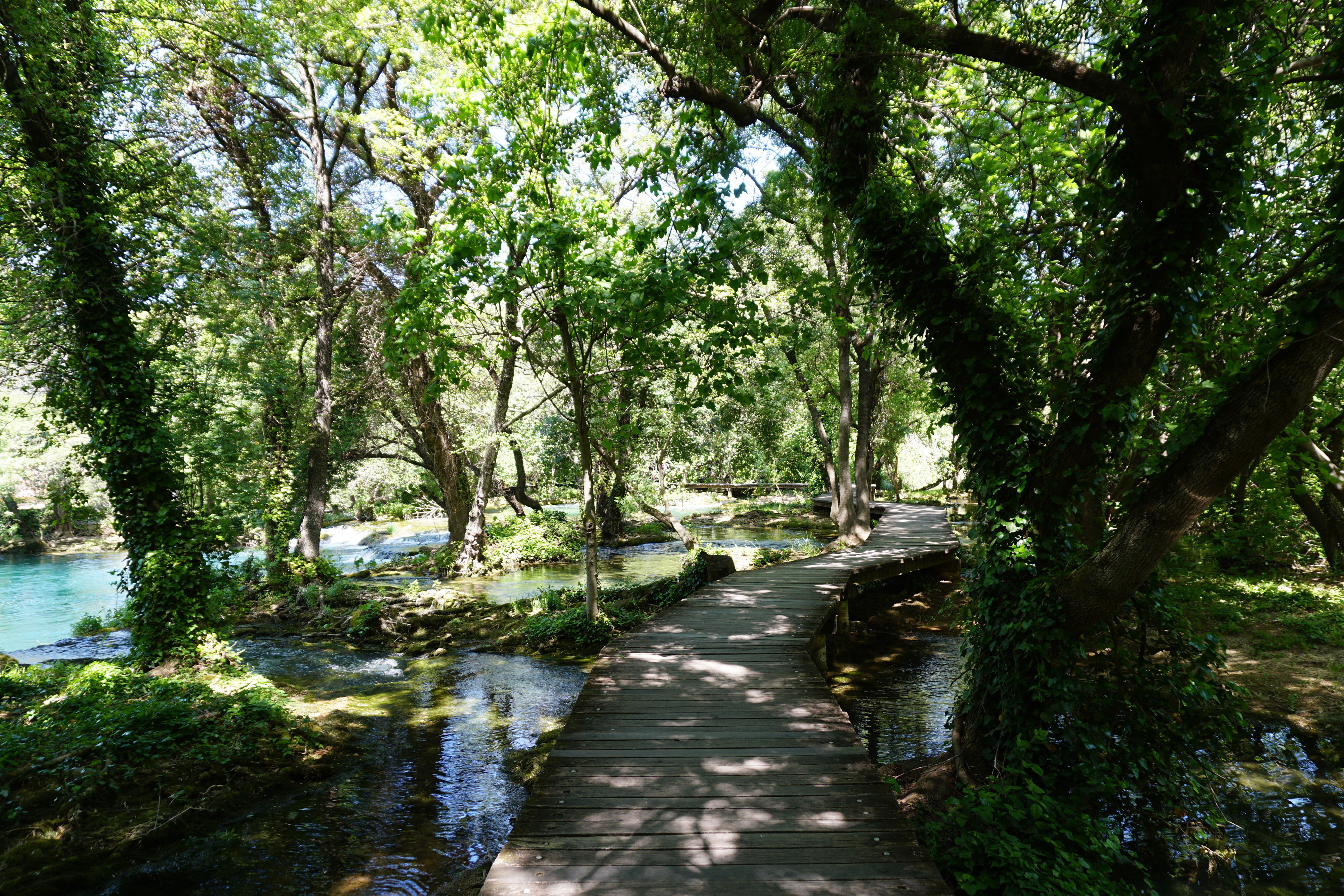 Picture Croatia Krka National Park 2016-04 145 - Discovery Krka National Park