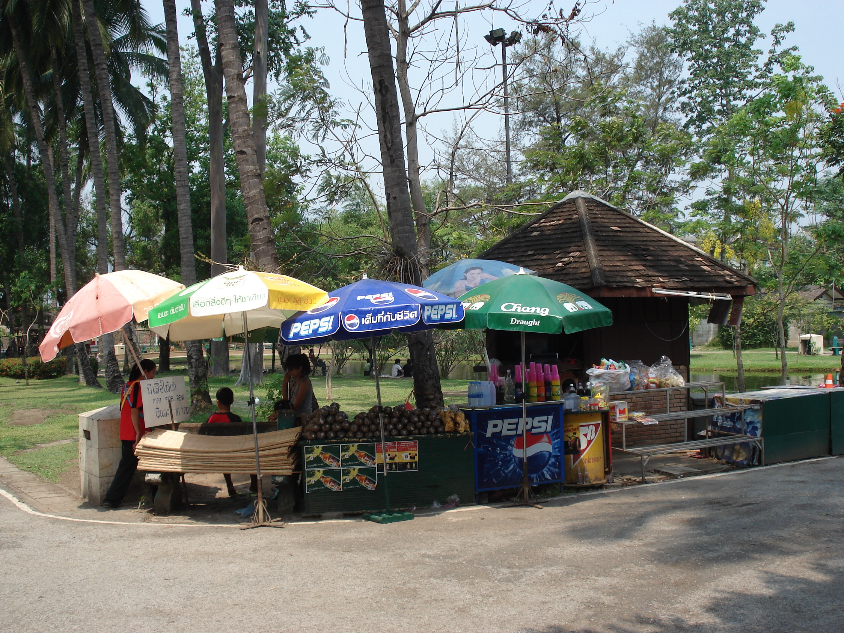 Picture Thailand Chiang Mai Inside Canal Buak Had Park 2006-04 11 - Around Buak Had Park