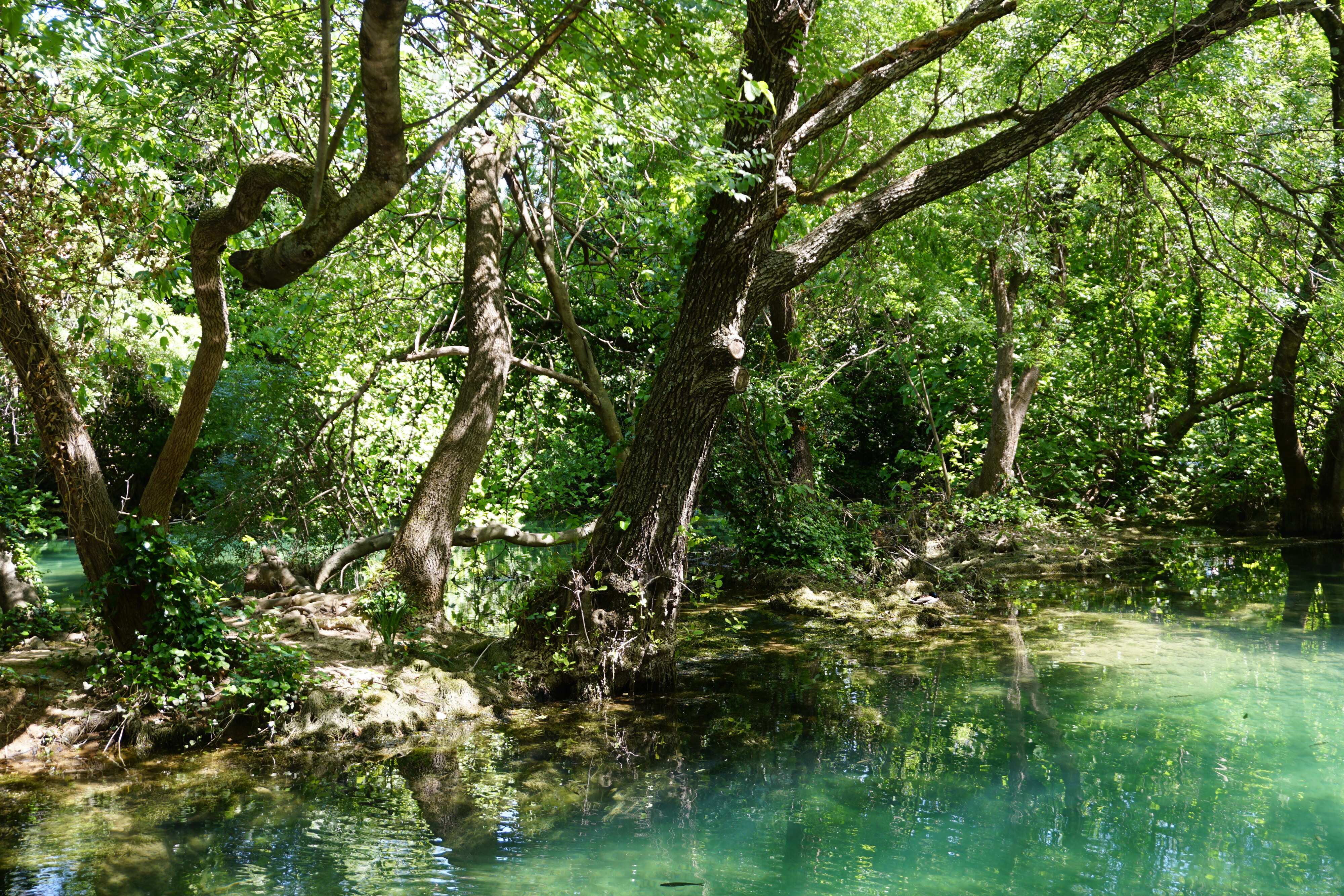 Picture Croatia Krka National Park 2016-04 154 - Around Krka National Park