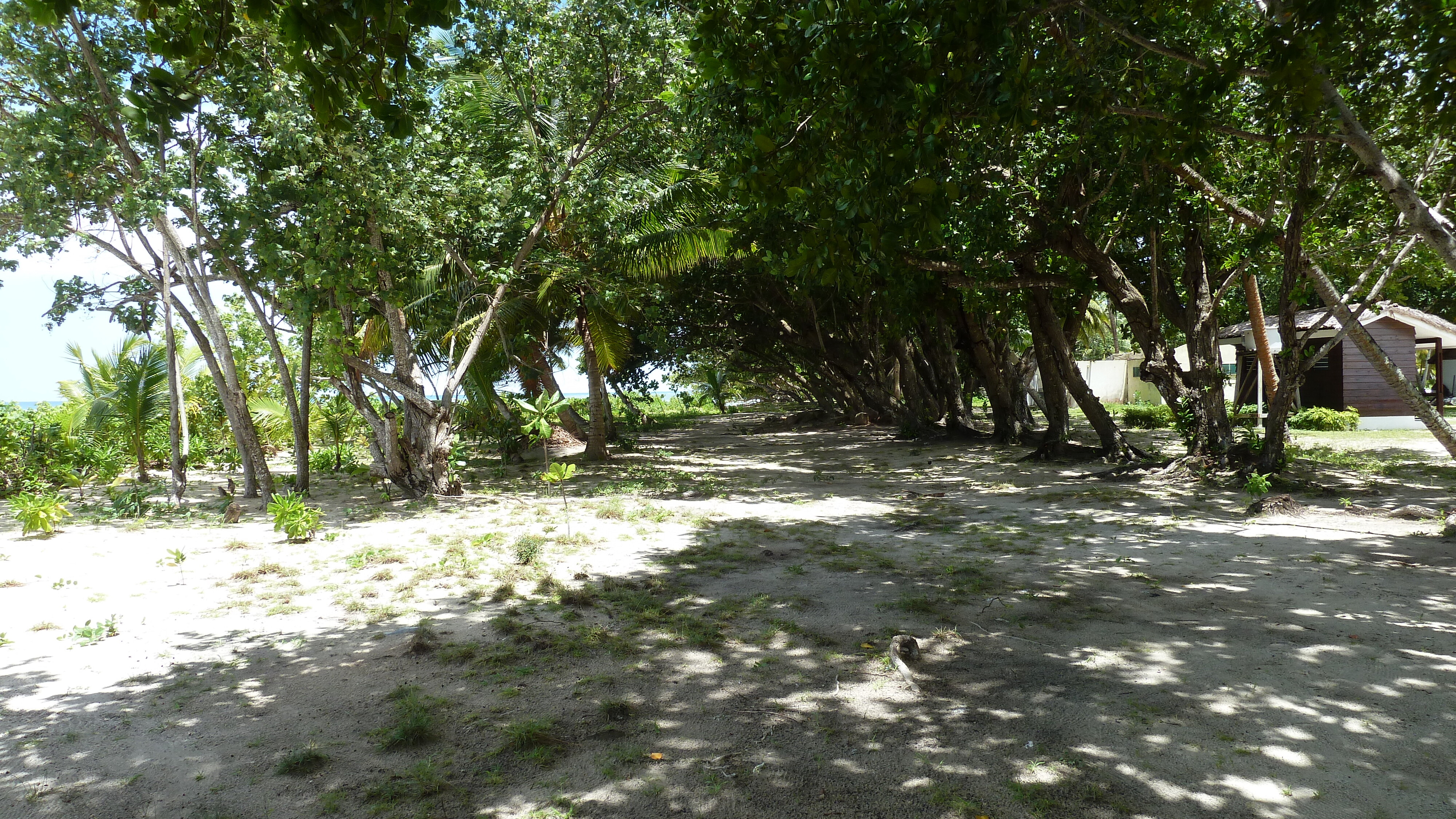 Picture Seychelles La Digue 2011-10 193 - Center La Digue