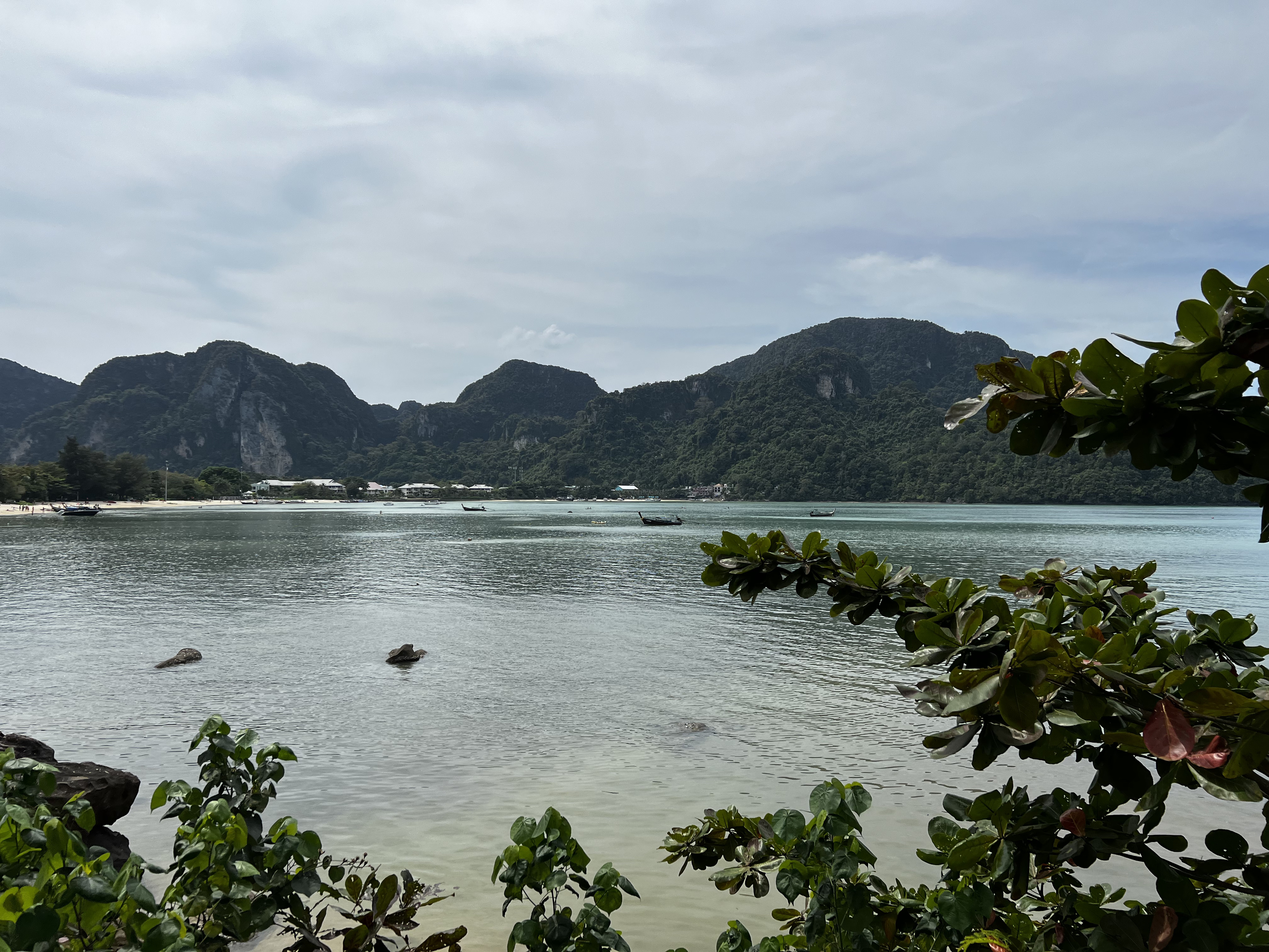 Picture Thailand Ko Phi Phi Don 2021-12 146 - Discovery Ko Phi Phi Don