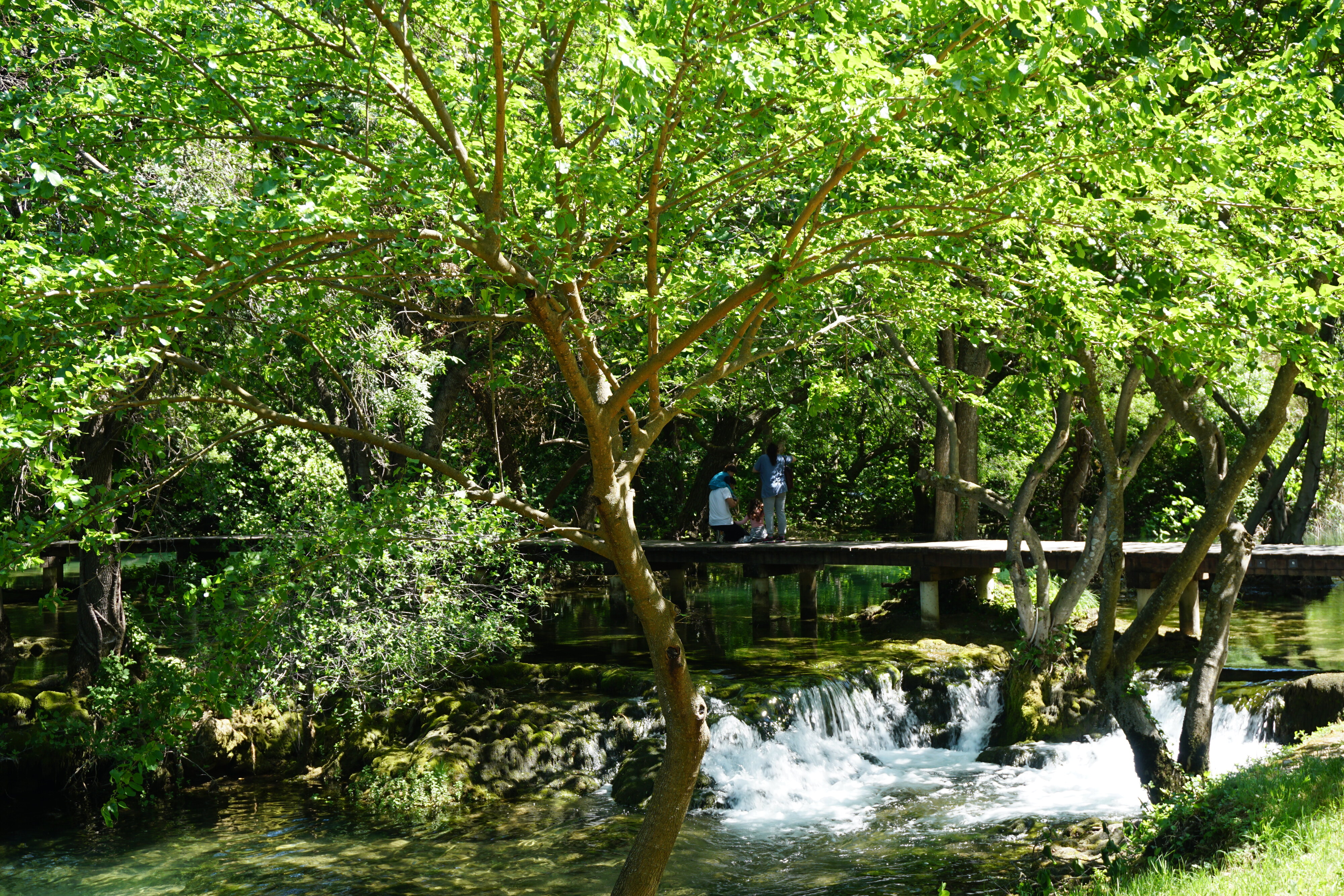 Picture Croatia Krka National Park 2016-04 169 - Journey Krka National Park