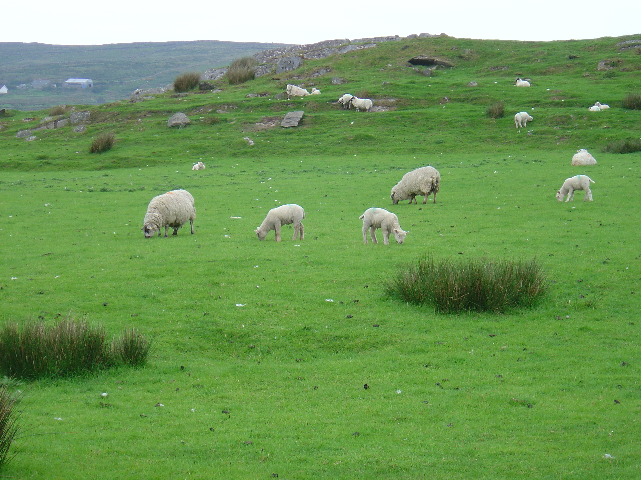 Picture Ireland Kerry Kells 2004-05 4 - Tours Kells