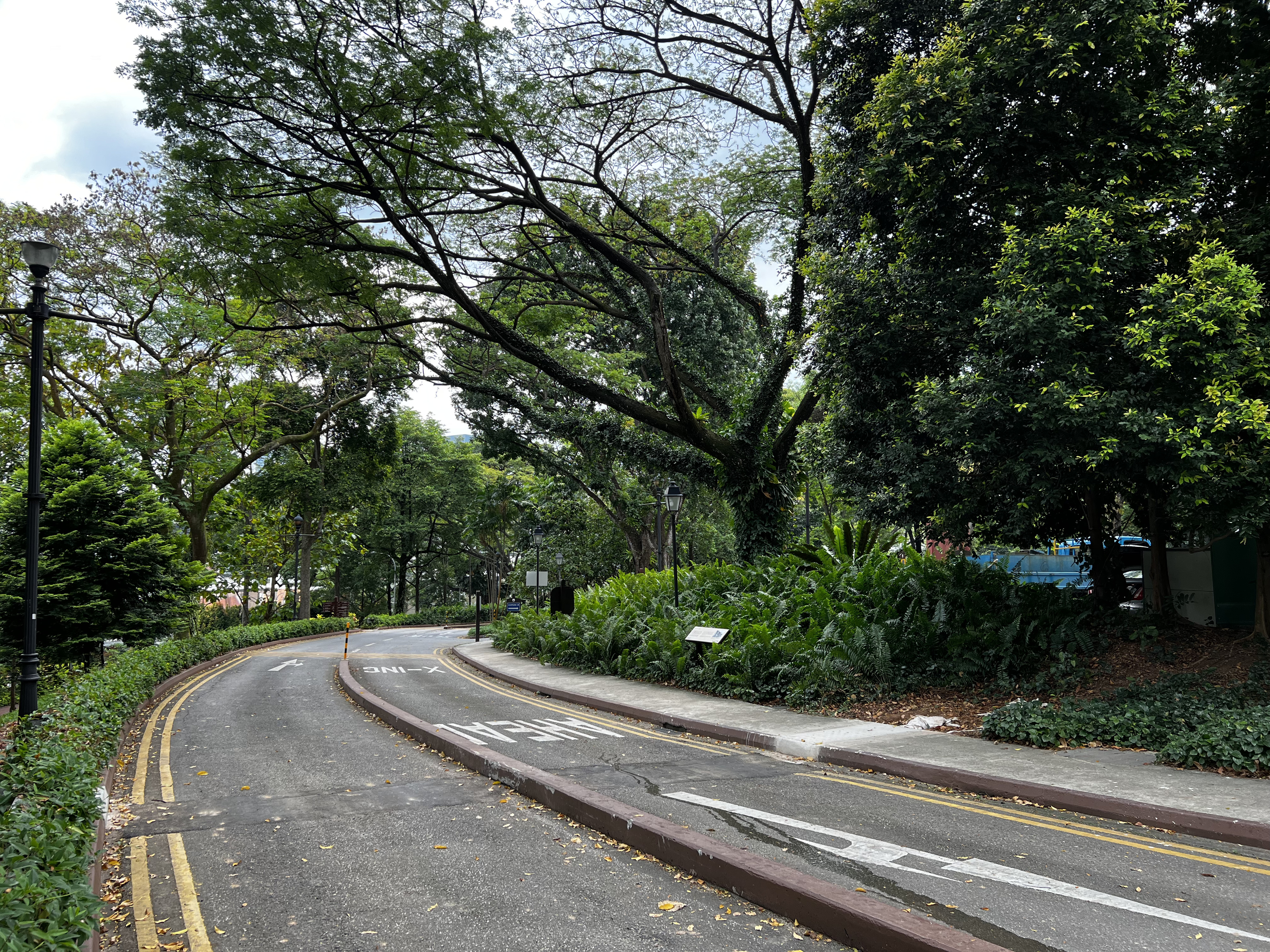 Picture Singapore Fort Canning Park 2023-01 14 - Around Fort Canning Park