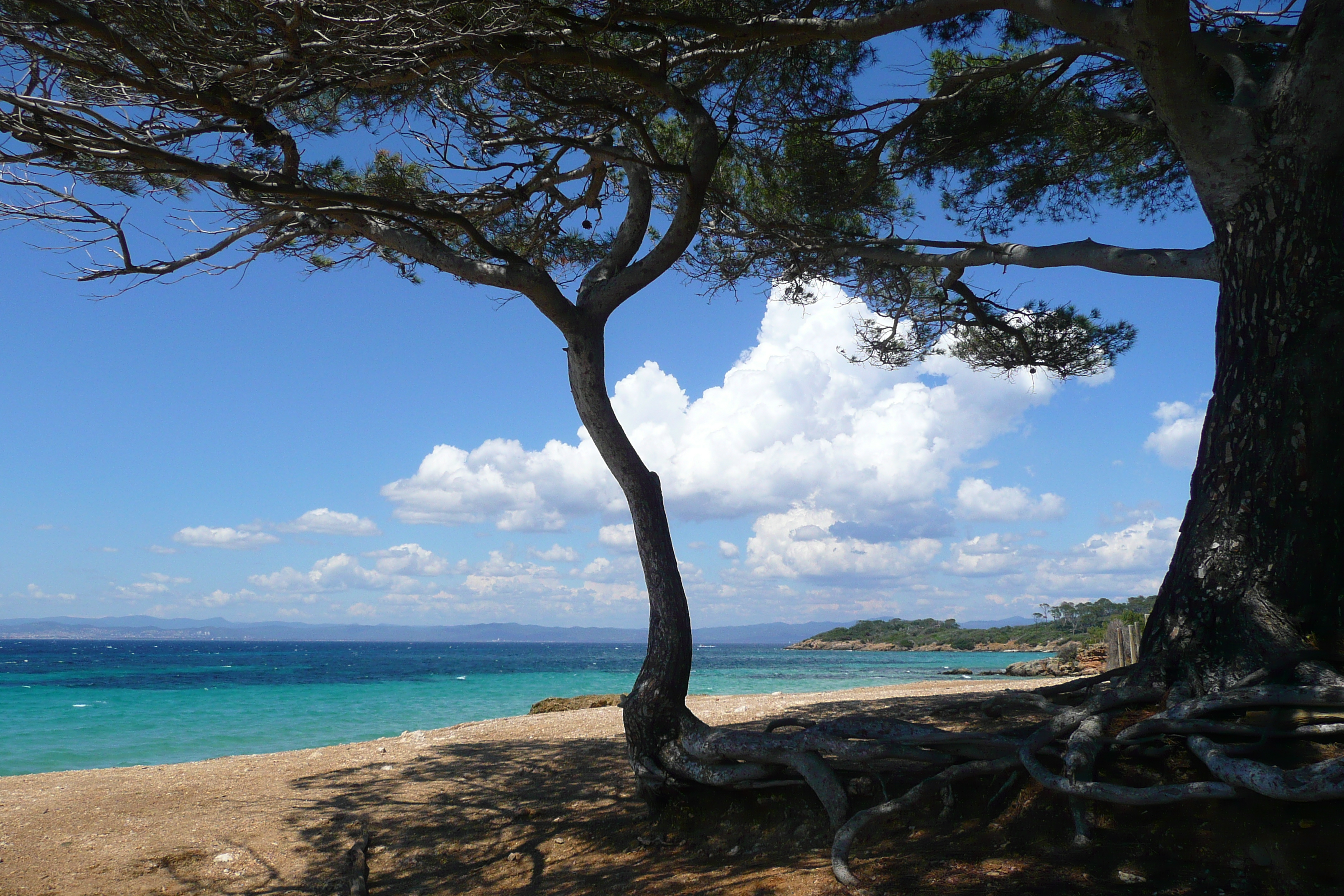 Picture France Porquerolles Island Courtade beach 2008-05 1 - History Courtade beach