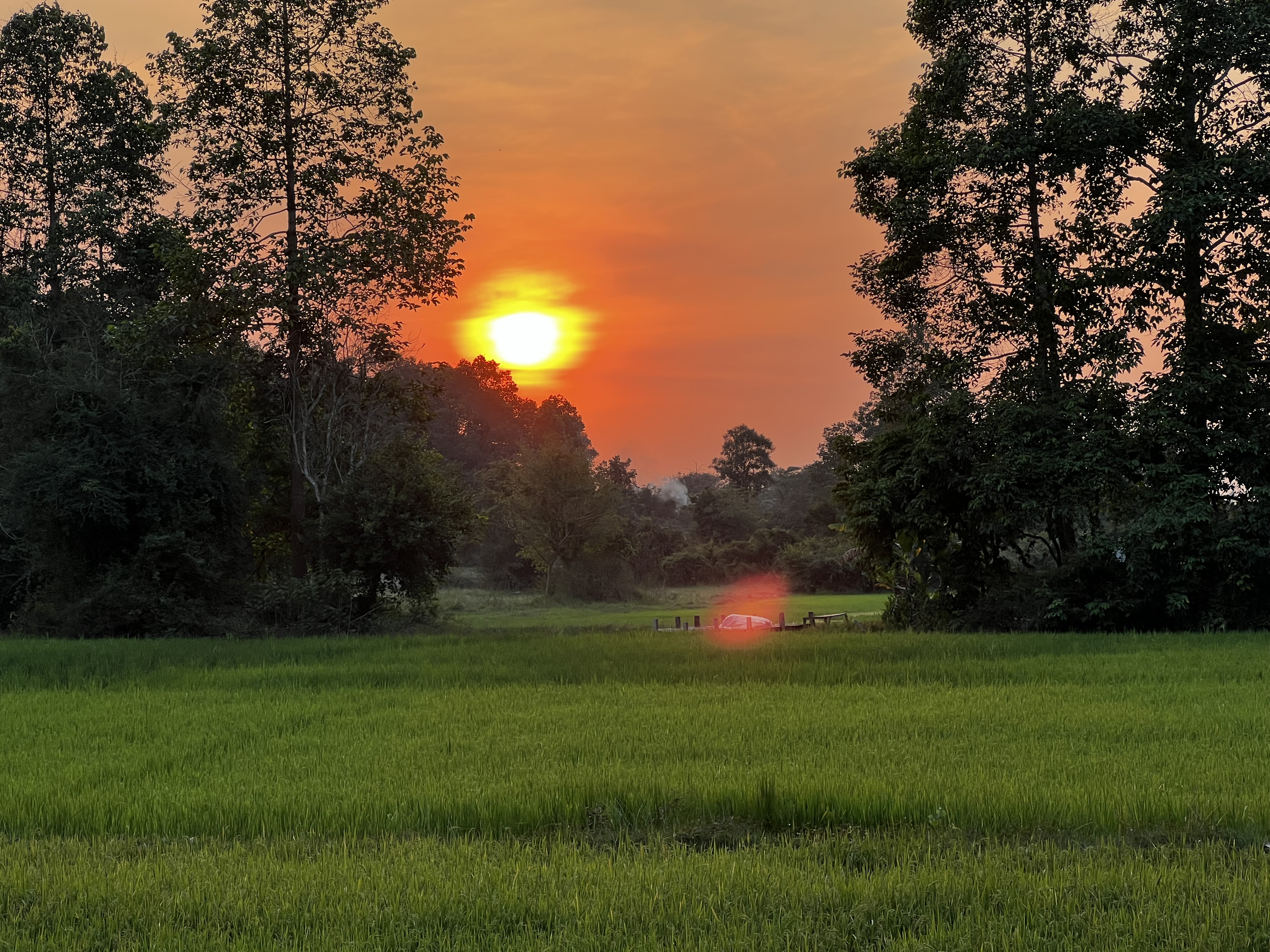 Picture Cambodia Siem Reap 2023-01 47 - Journey Siem Reap