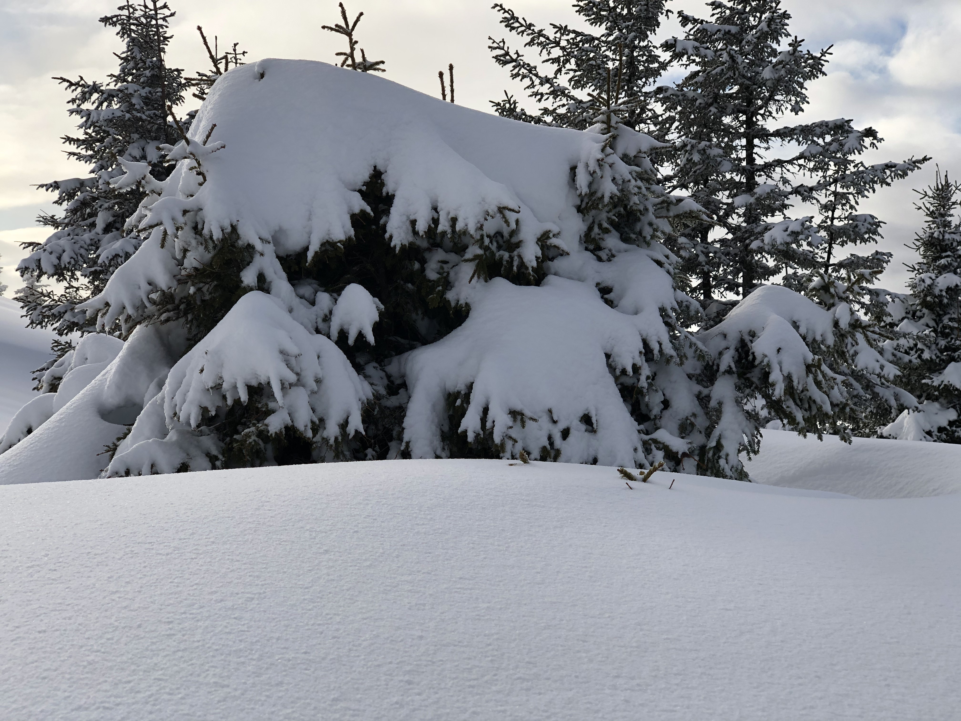 Picture France Praz sur Arly 2019-12 174 - Tour Praz sur Arly