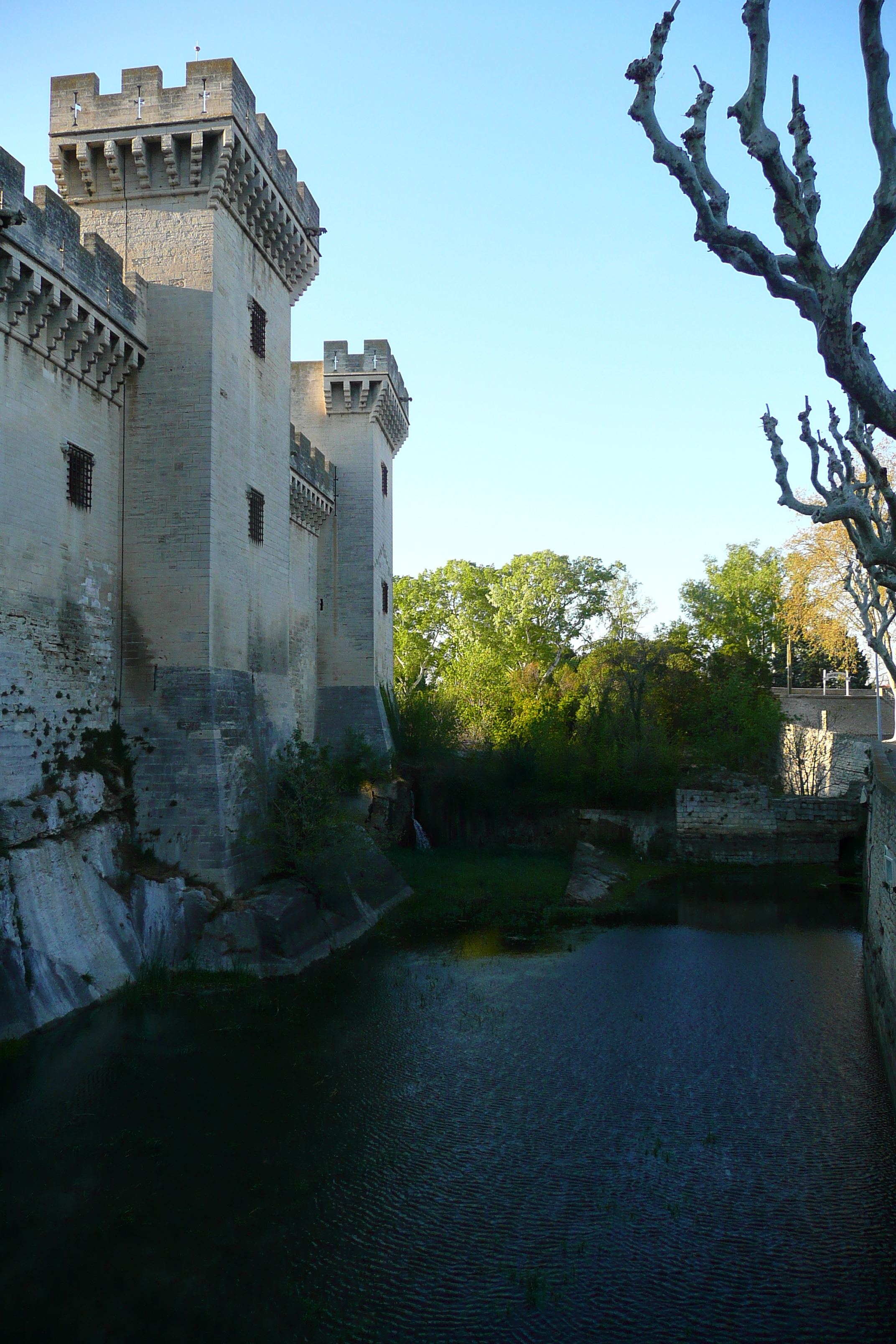 Picture France Tarascon Tarascon Castle 2008-04 95 - Around Tarascon Castle