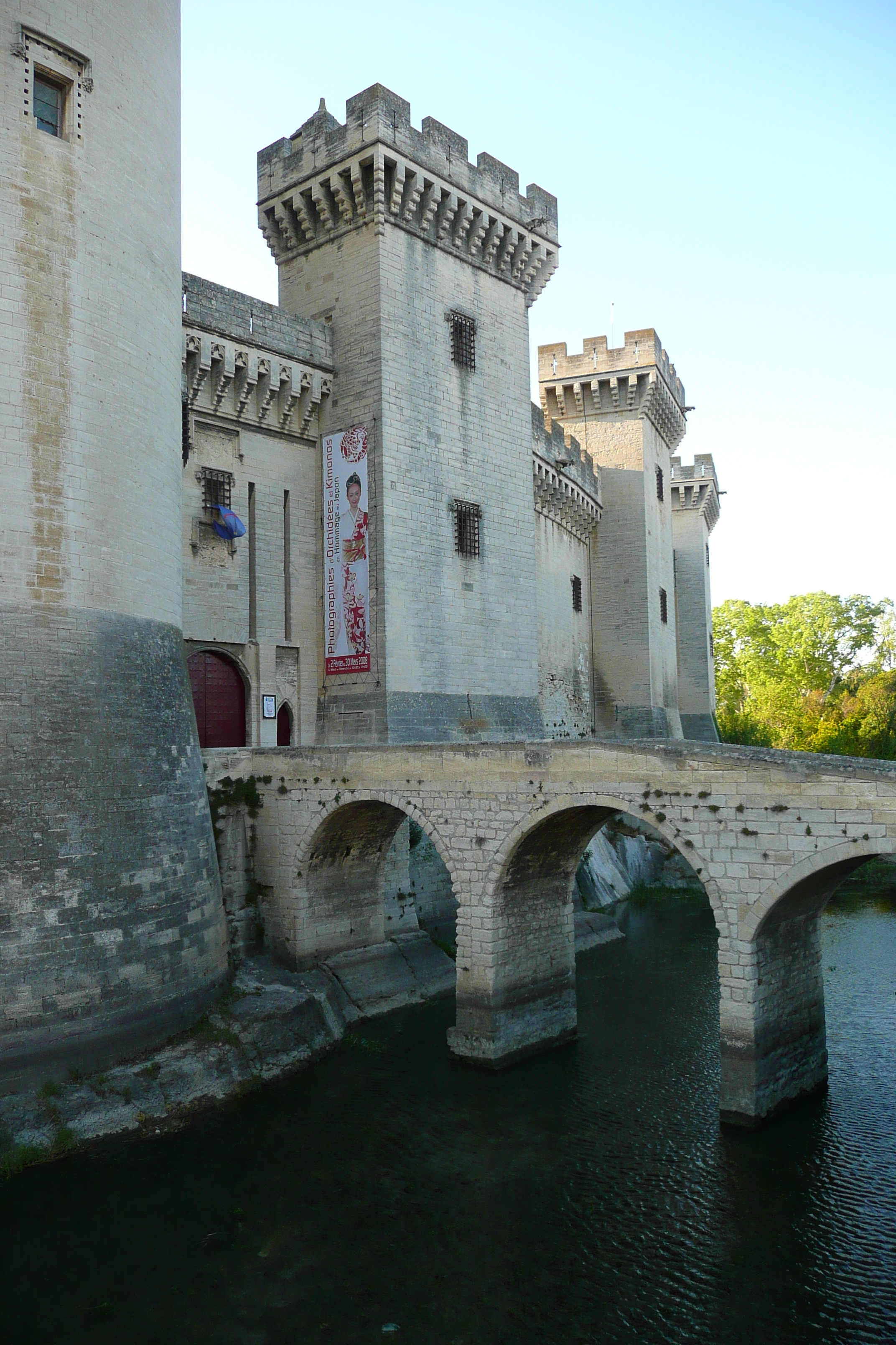 Picture France Tarascon Tarascon Castle 2008-04 79 - Tours Tarascon Castle