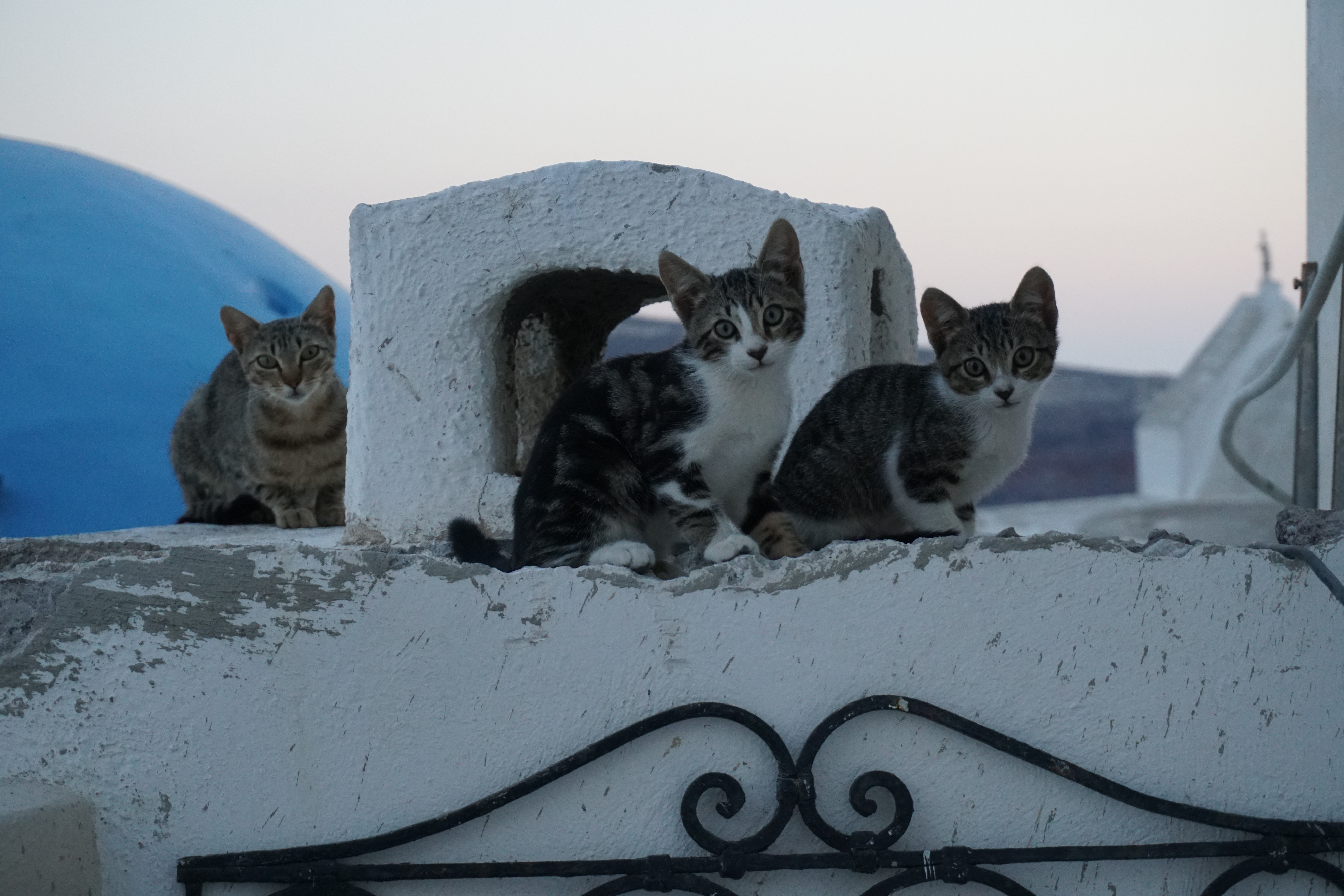 Picture Greece Santorini 2016-07 77 - Center Santorini