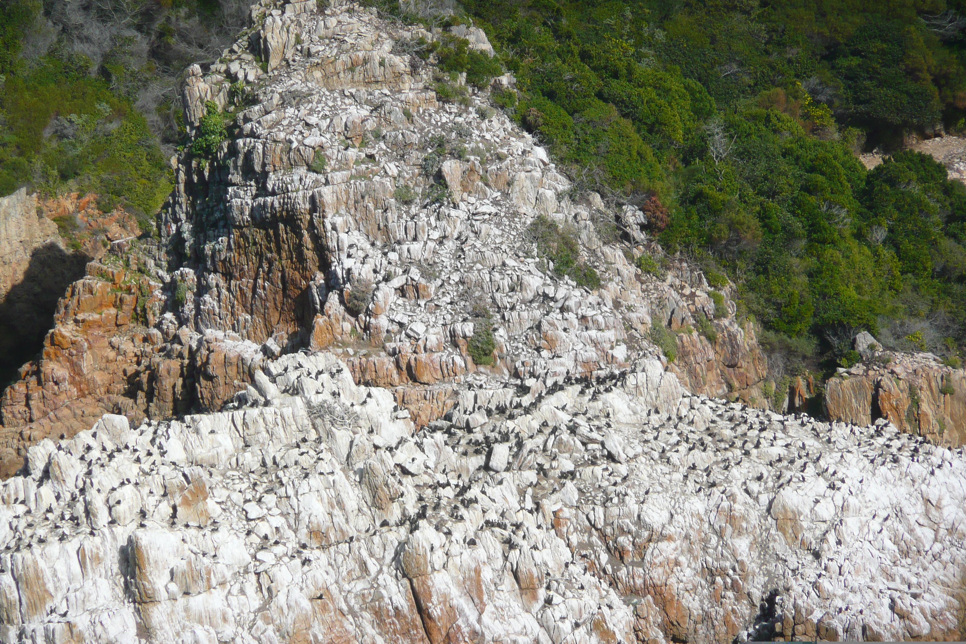 Picture South Africa Knysna Heads 2008-09 8 - Tours Knysna Heads