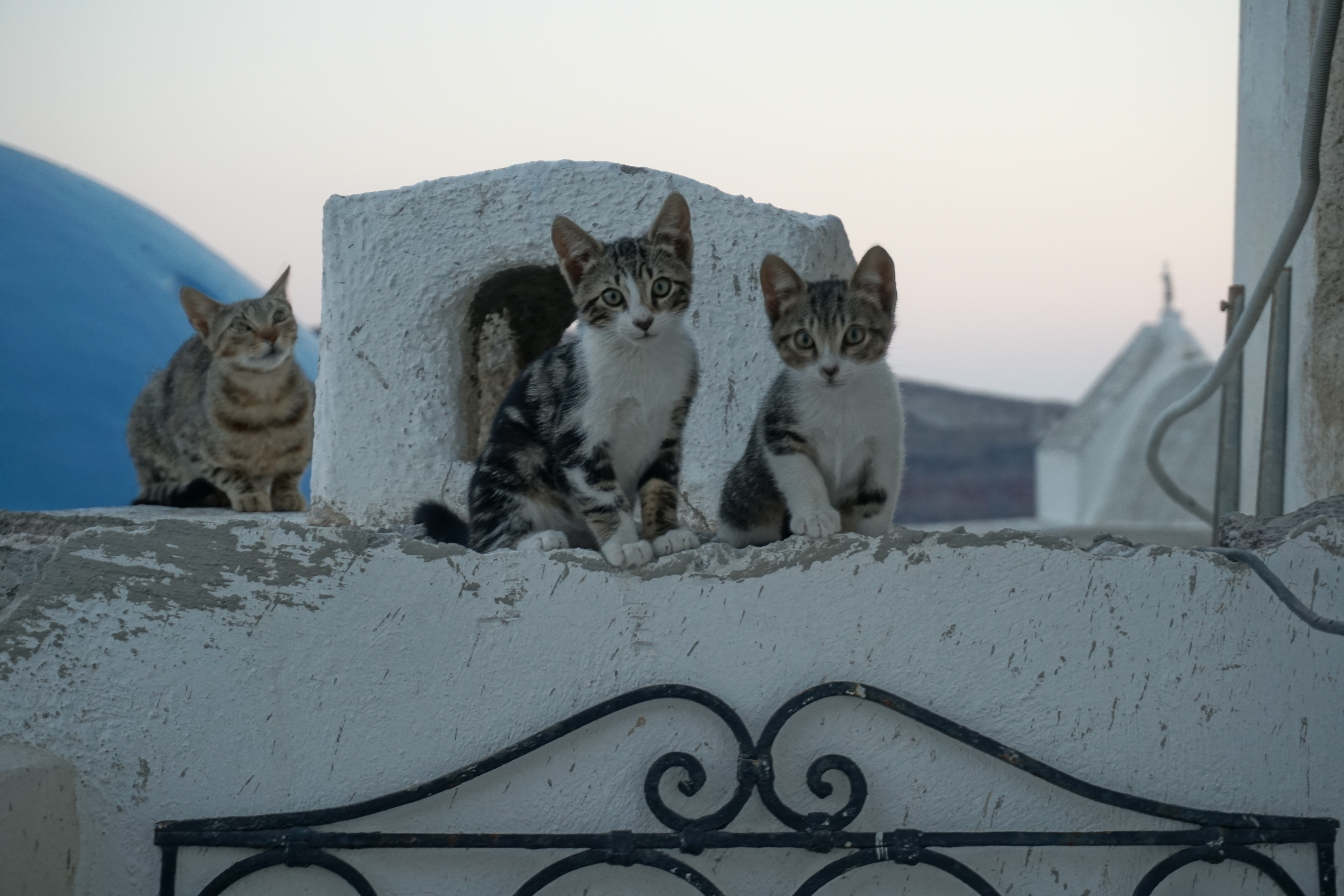 Picture Greece Santorini Oia cave house 2016-07 9 - History Oia cave house