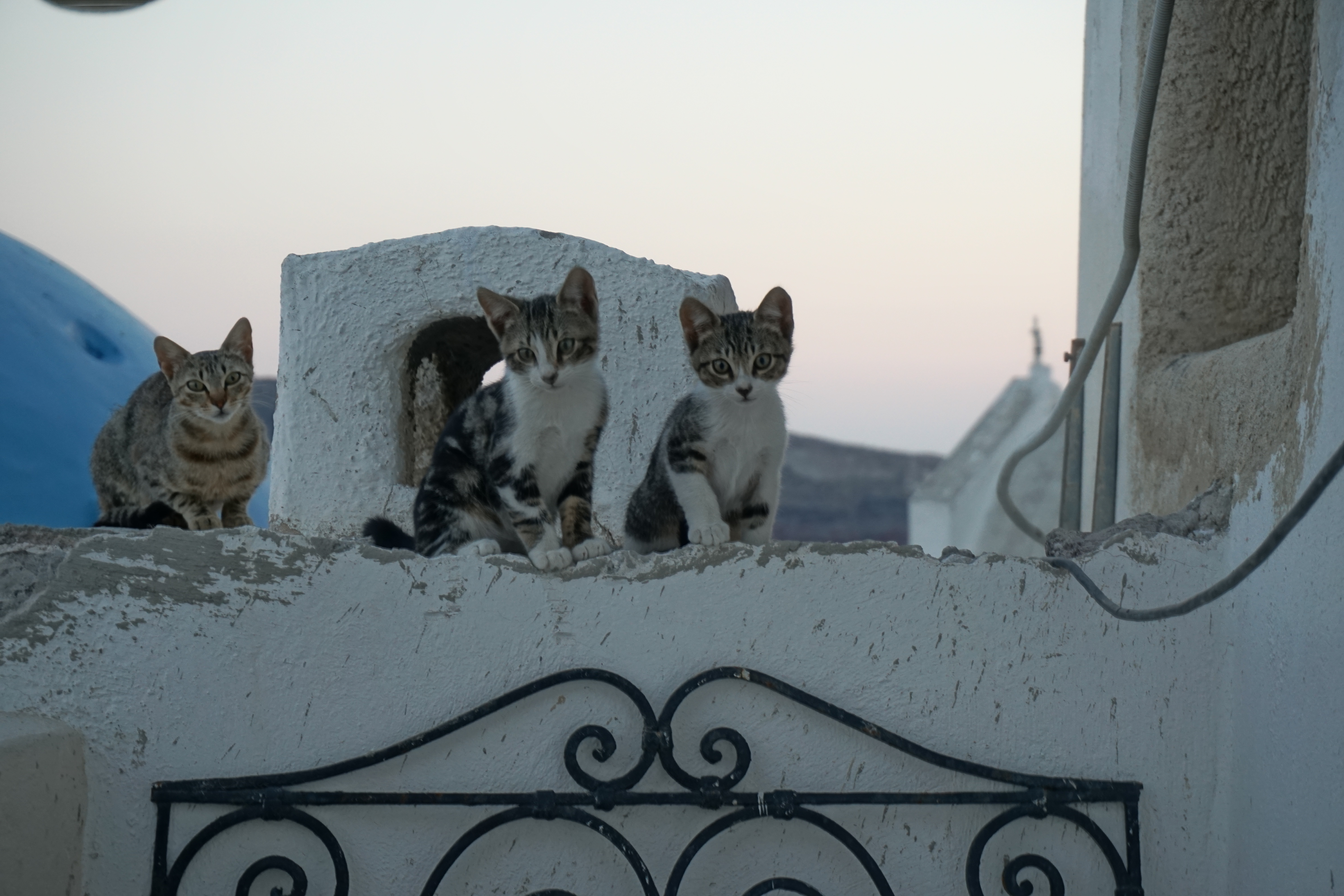 Picture Greece Santorini 2016-07 82 - Recreation Santorini