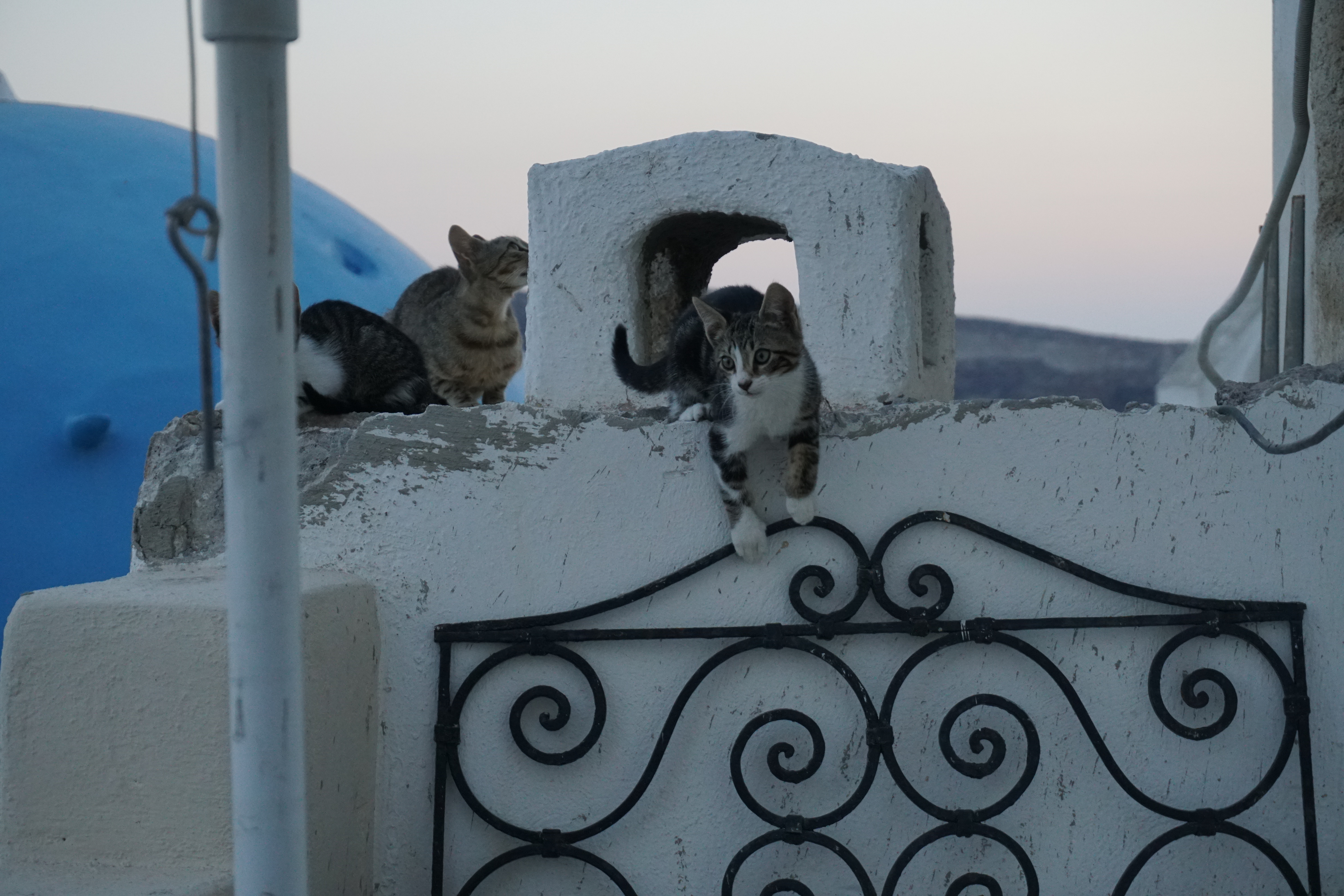 Picture Greece Santorini Oia cave house 2016-07 21 - Tour Oia cave house