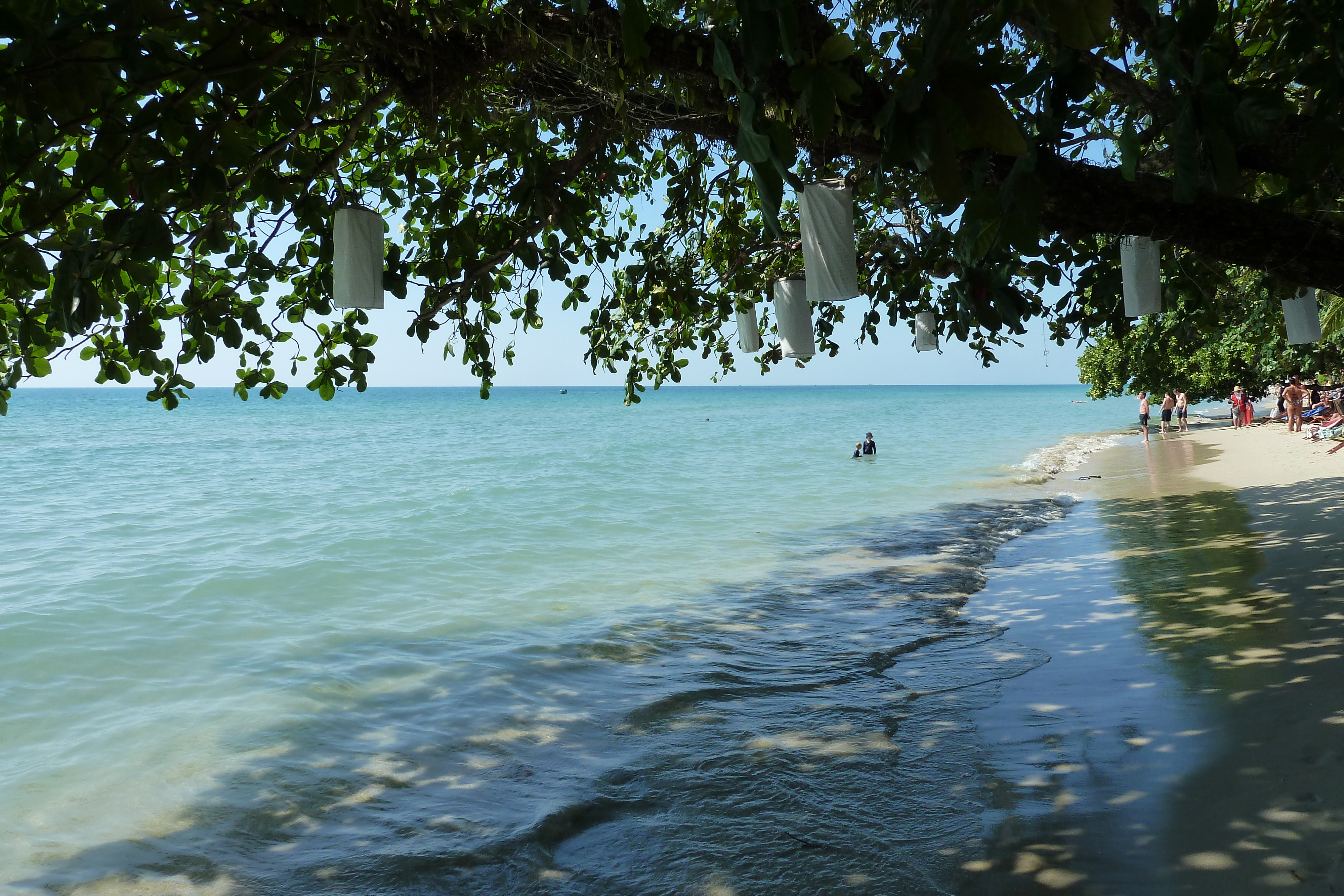 Picture Thailand Ko Chang 2011-01 0 - Discovery Ko Chang